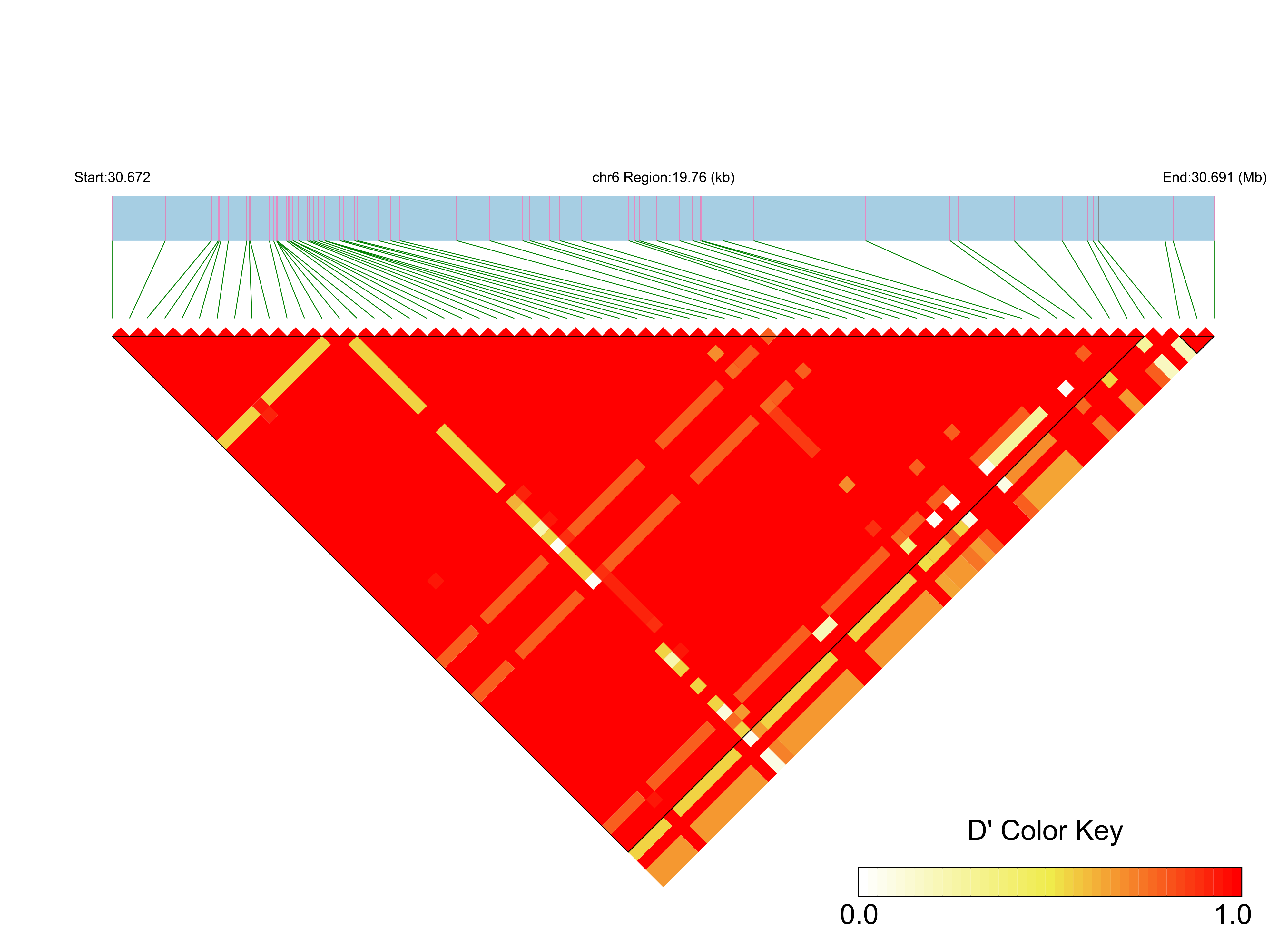LD