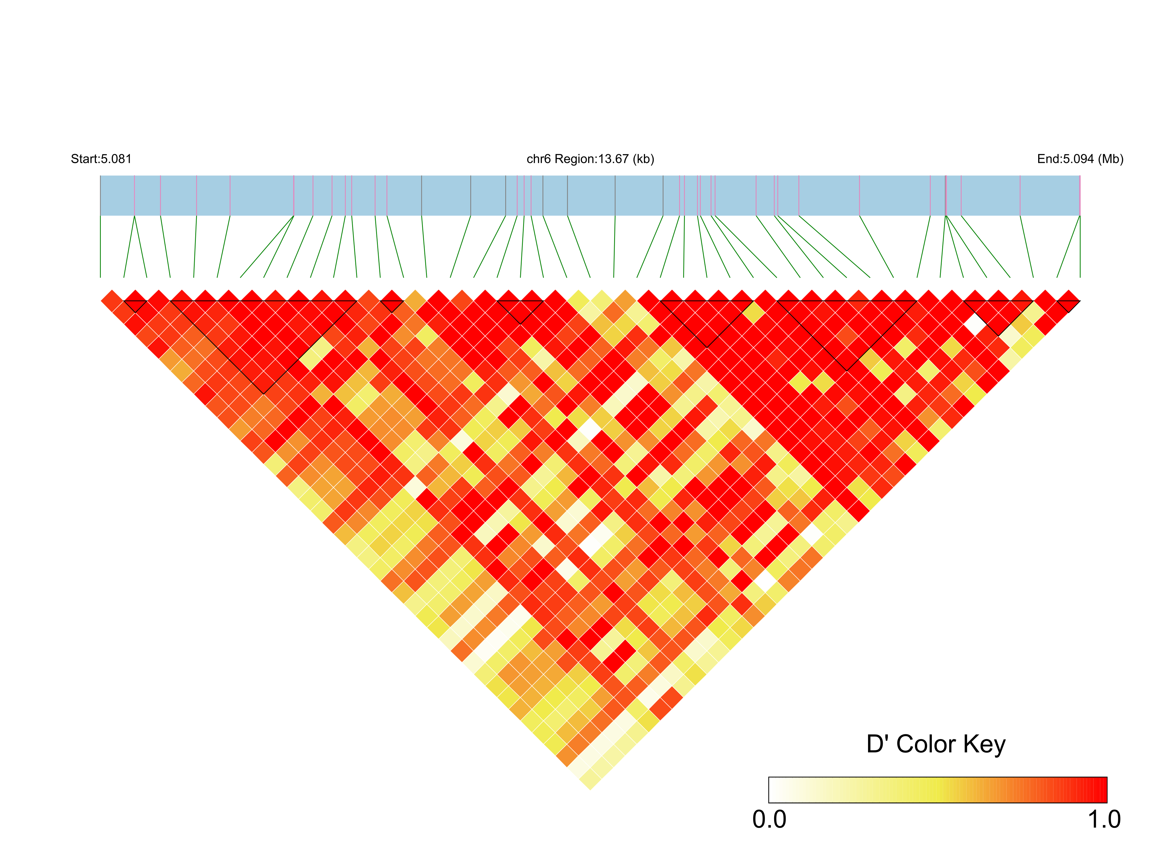 LD
