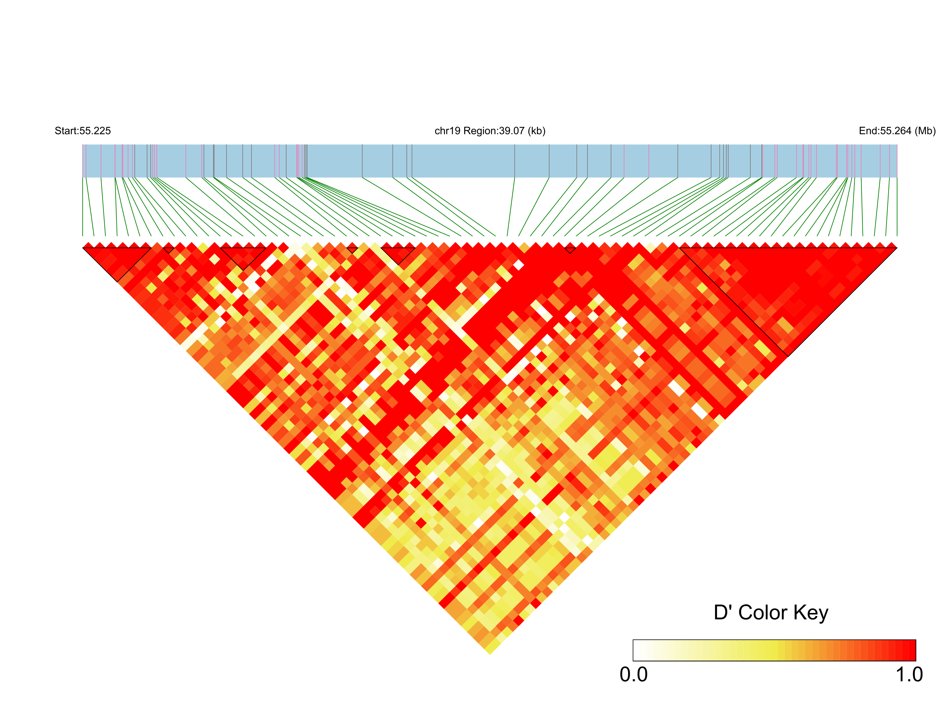 LD