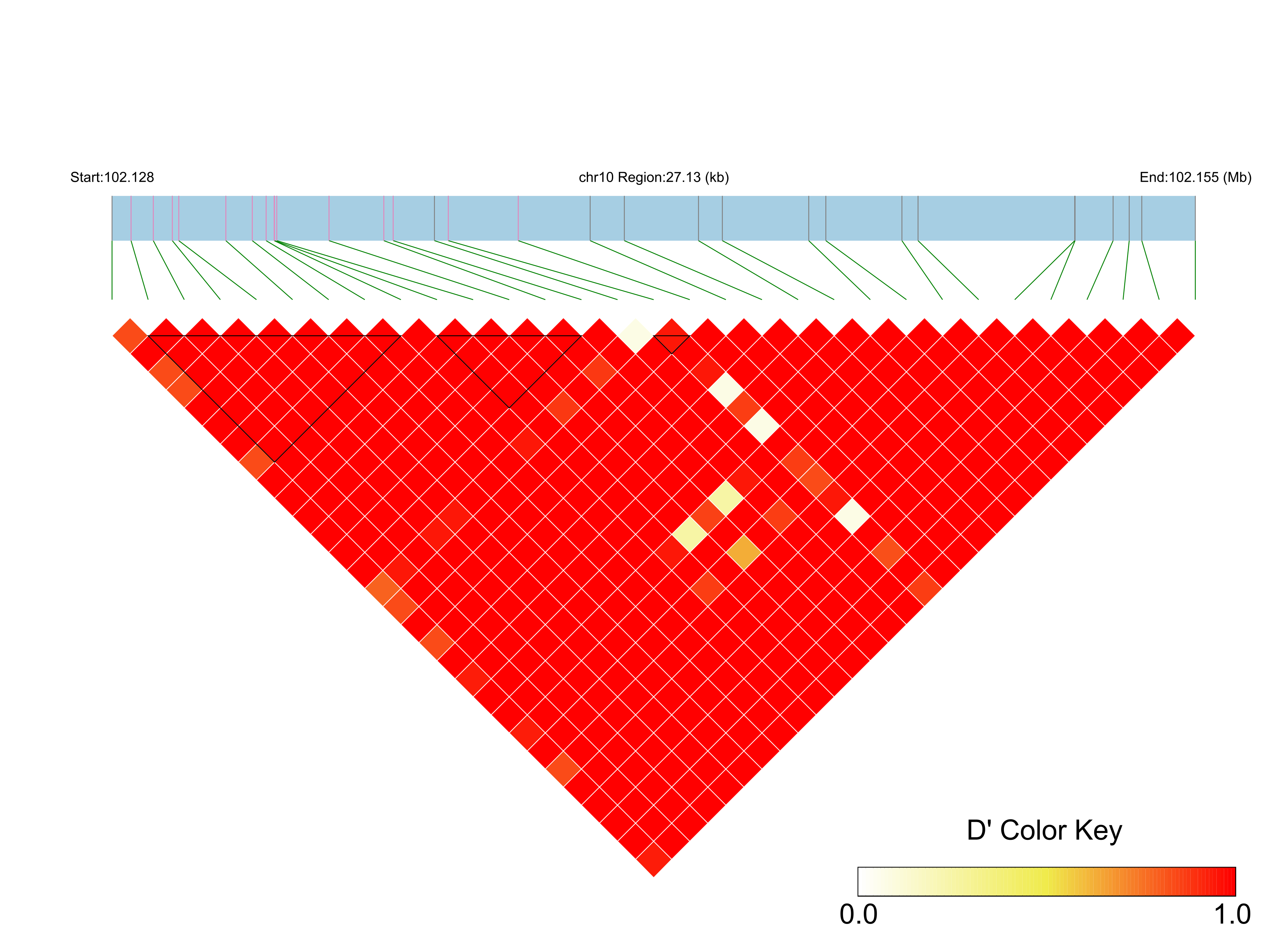 LD