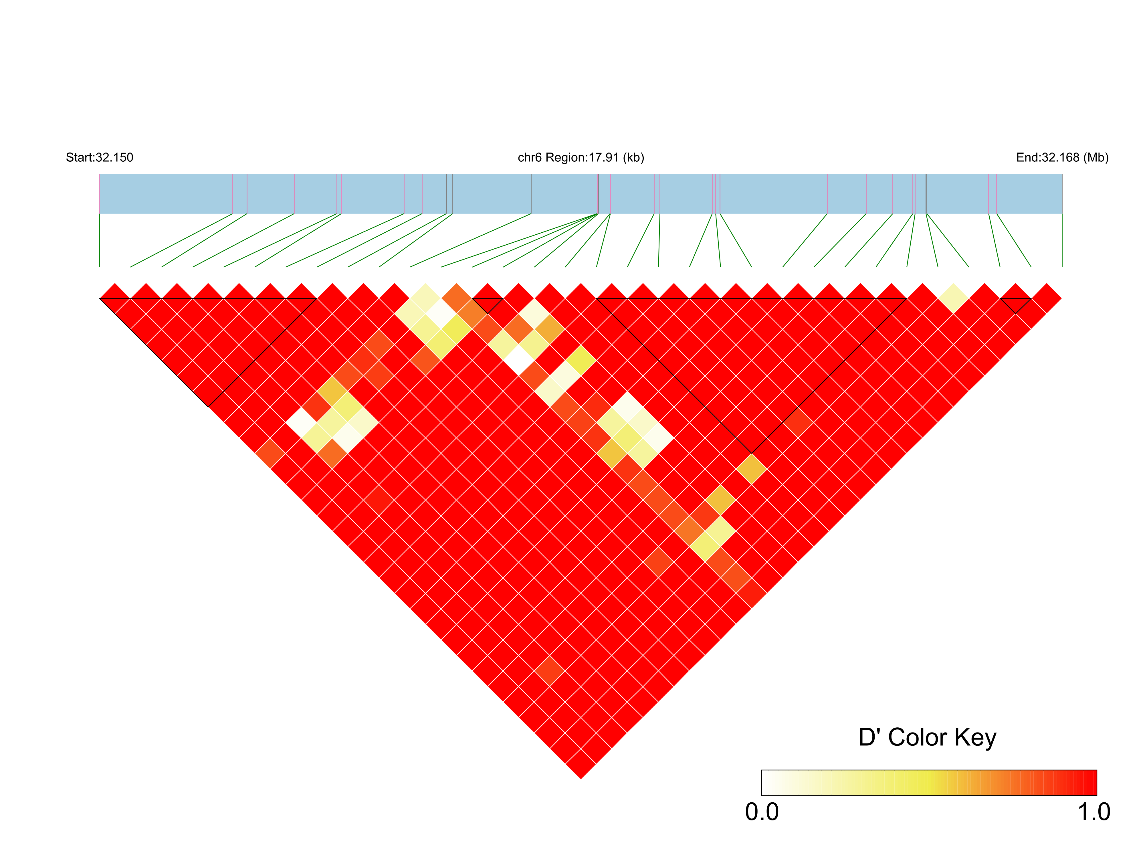 LD