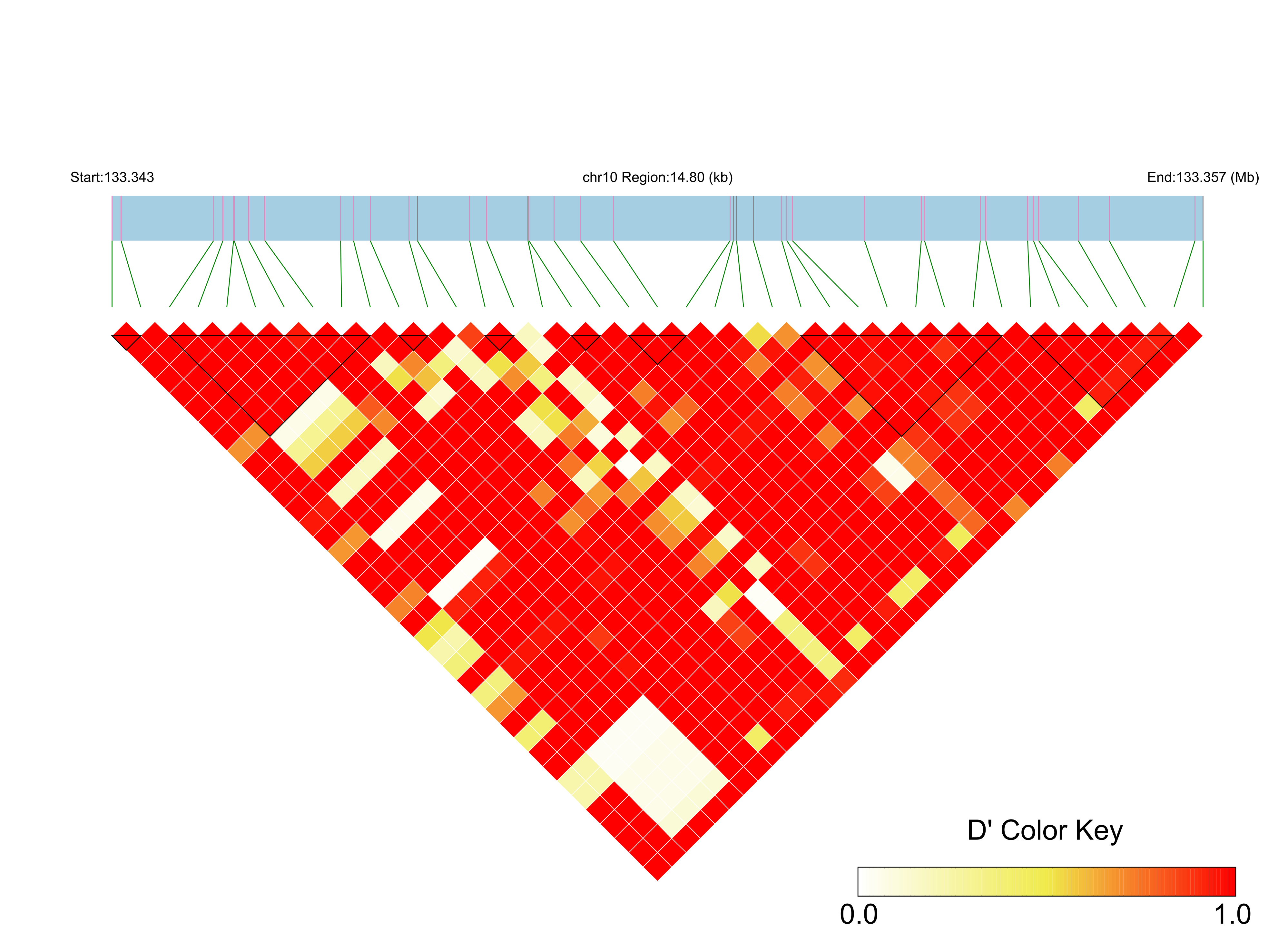 LD