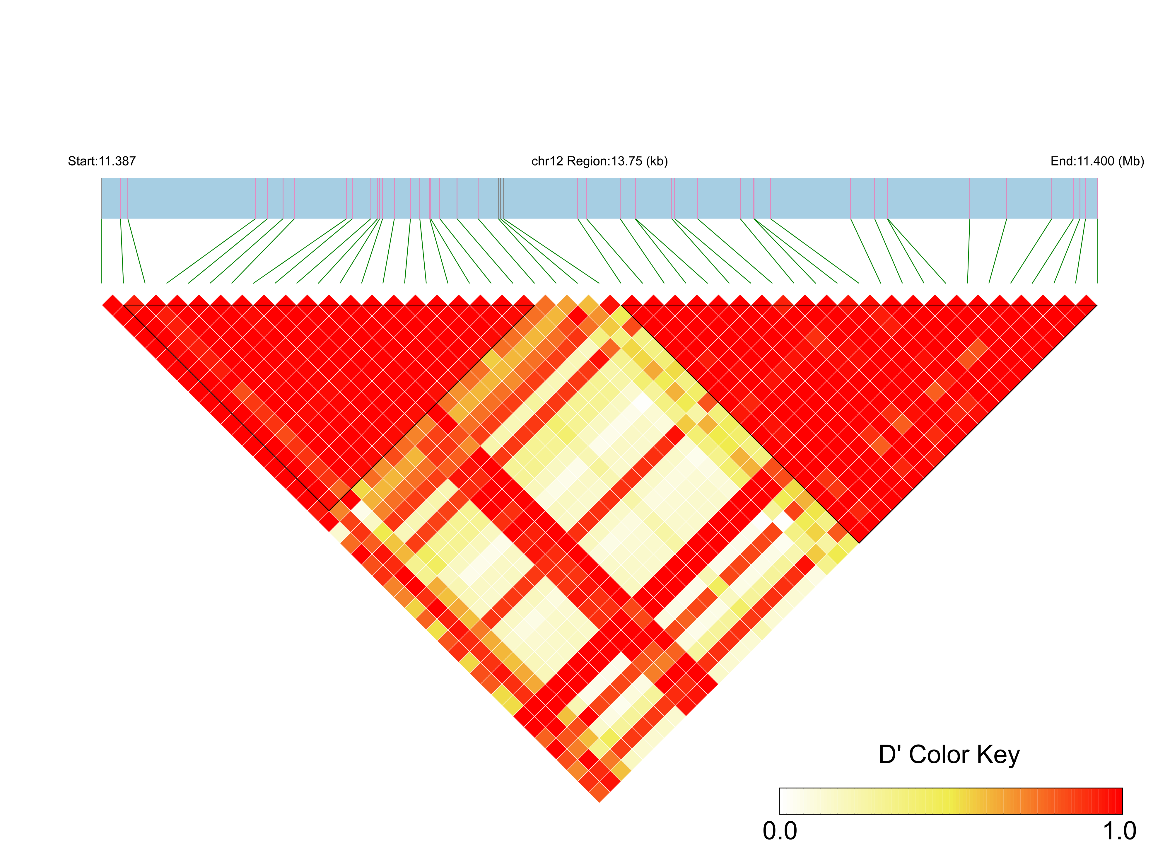 LD