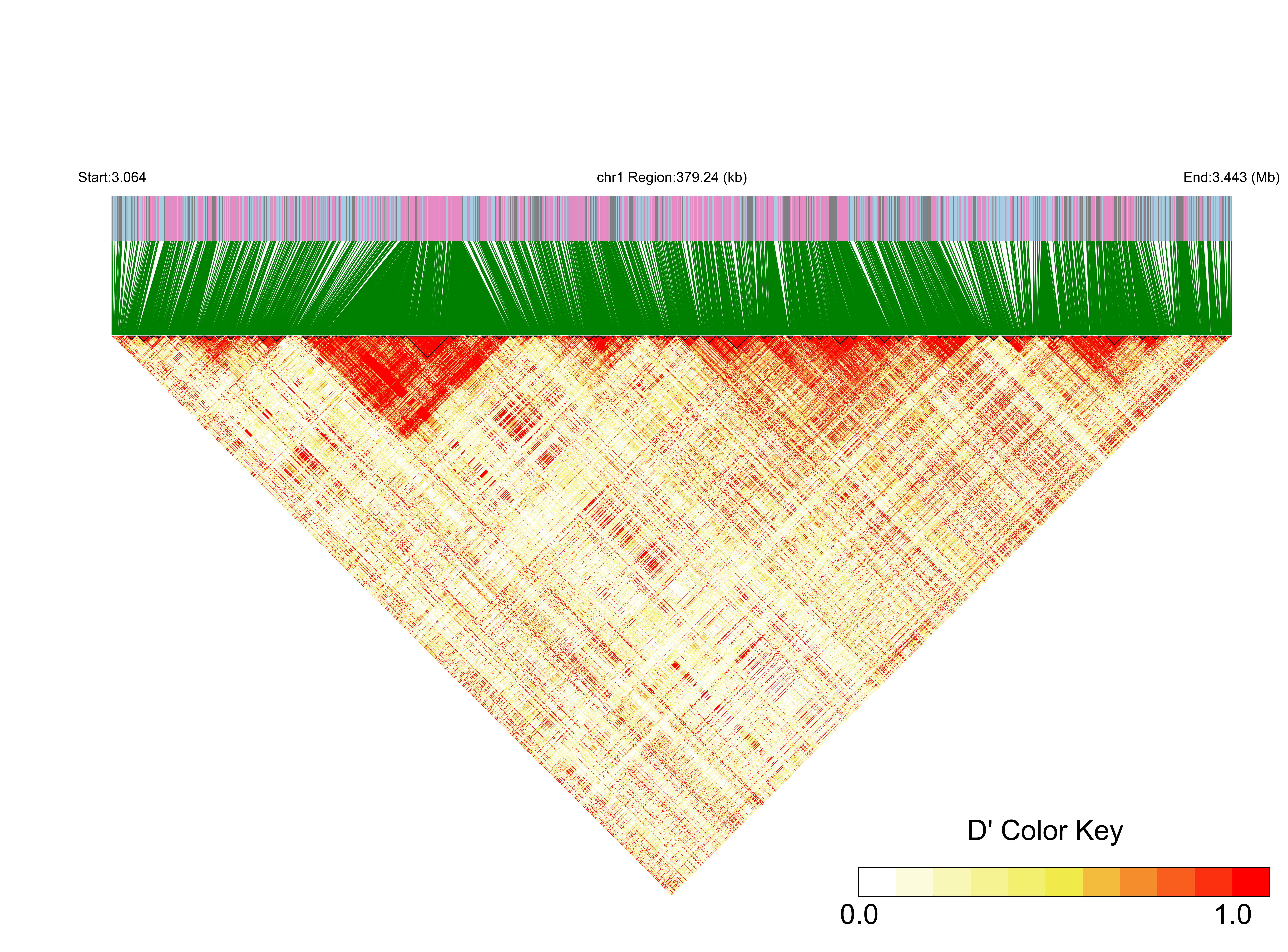 LD