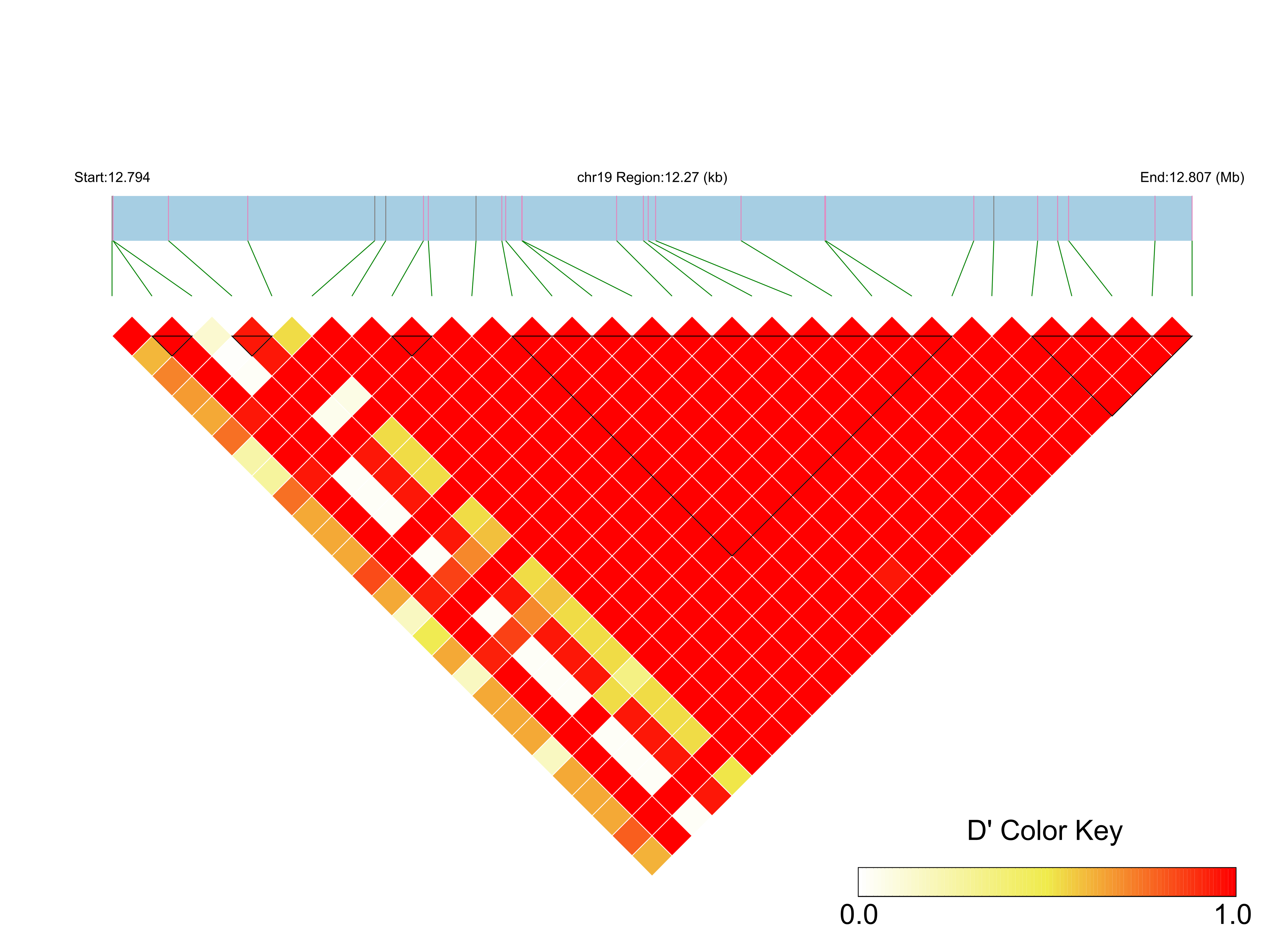 LD