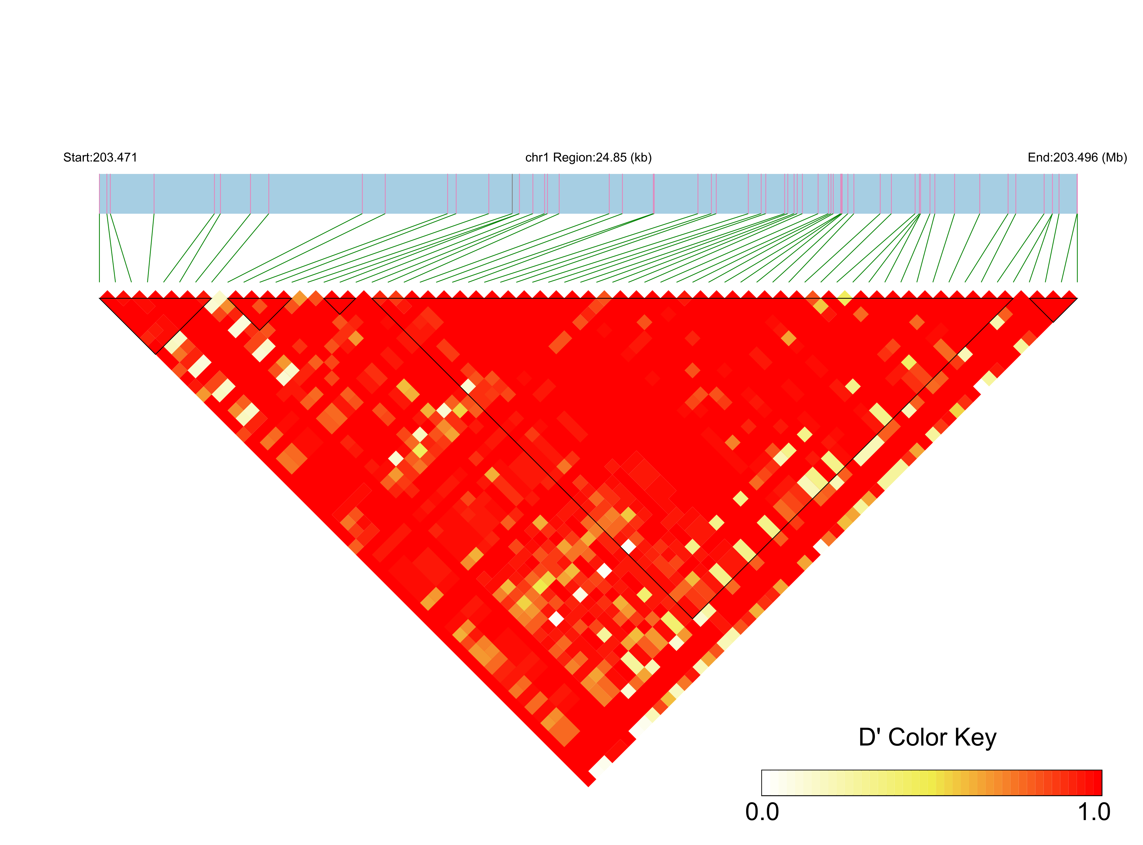 LD