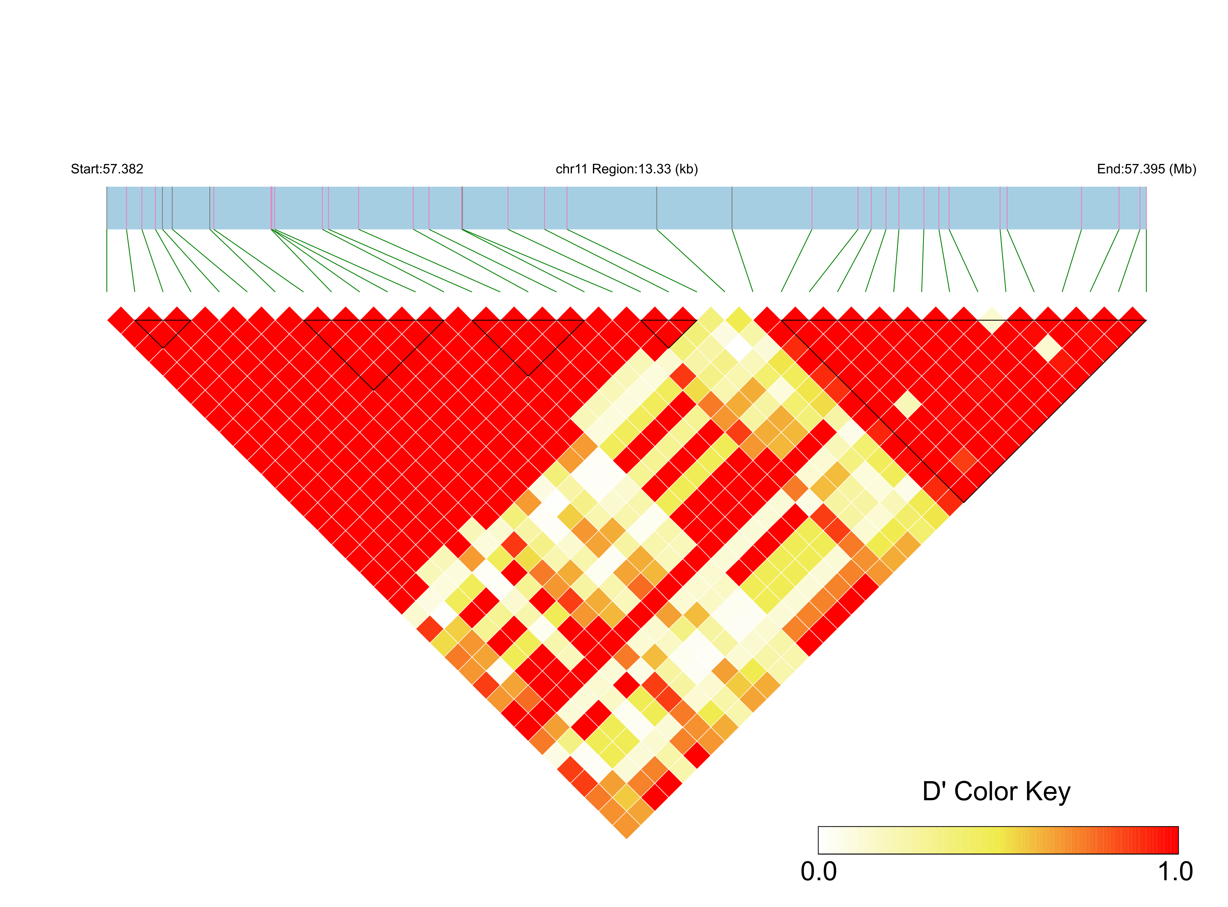 LD