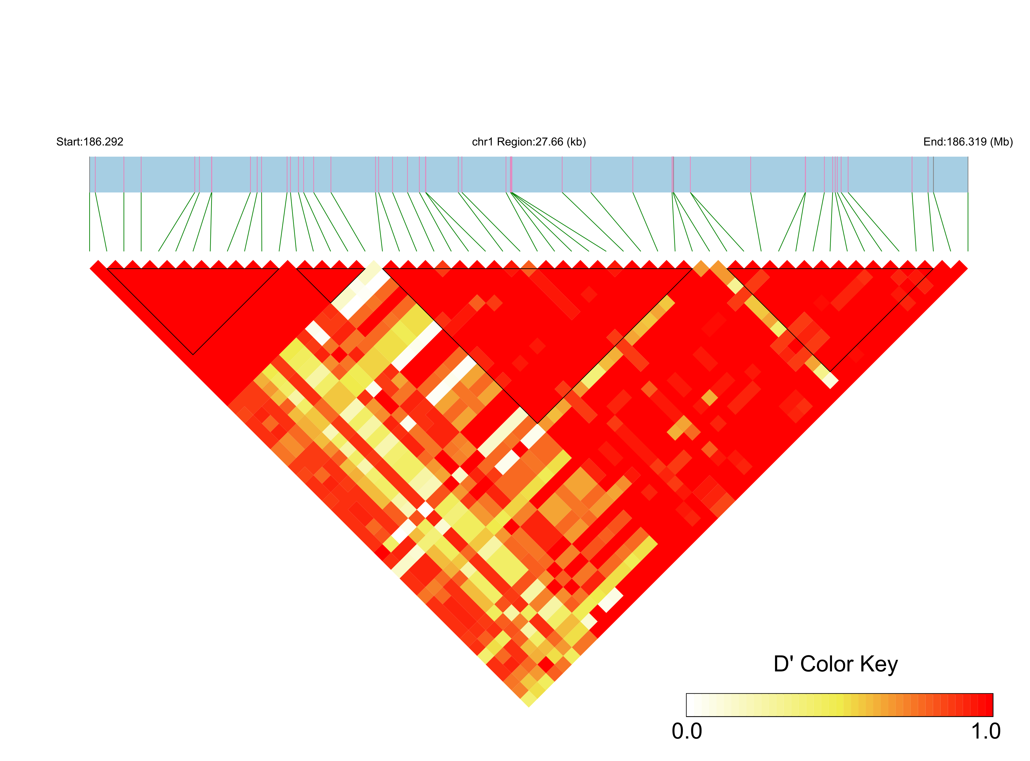 LD