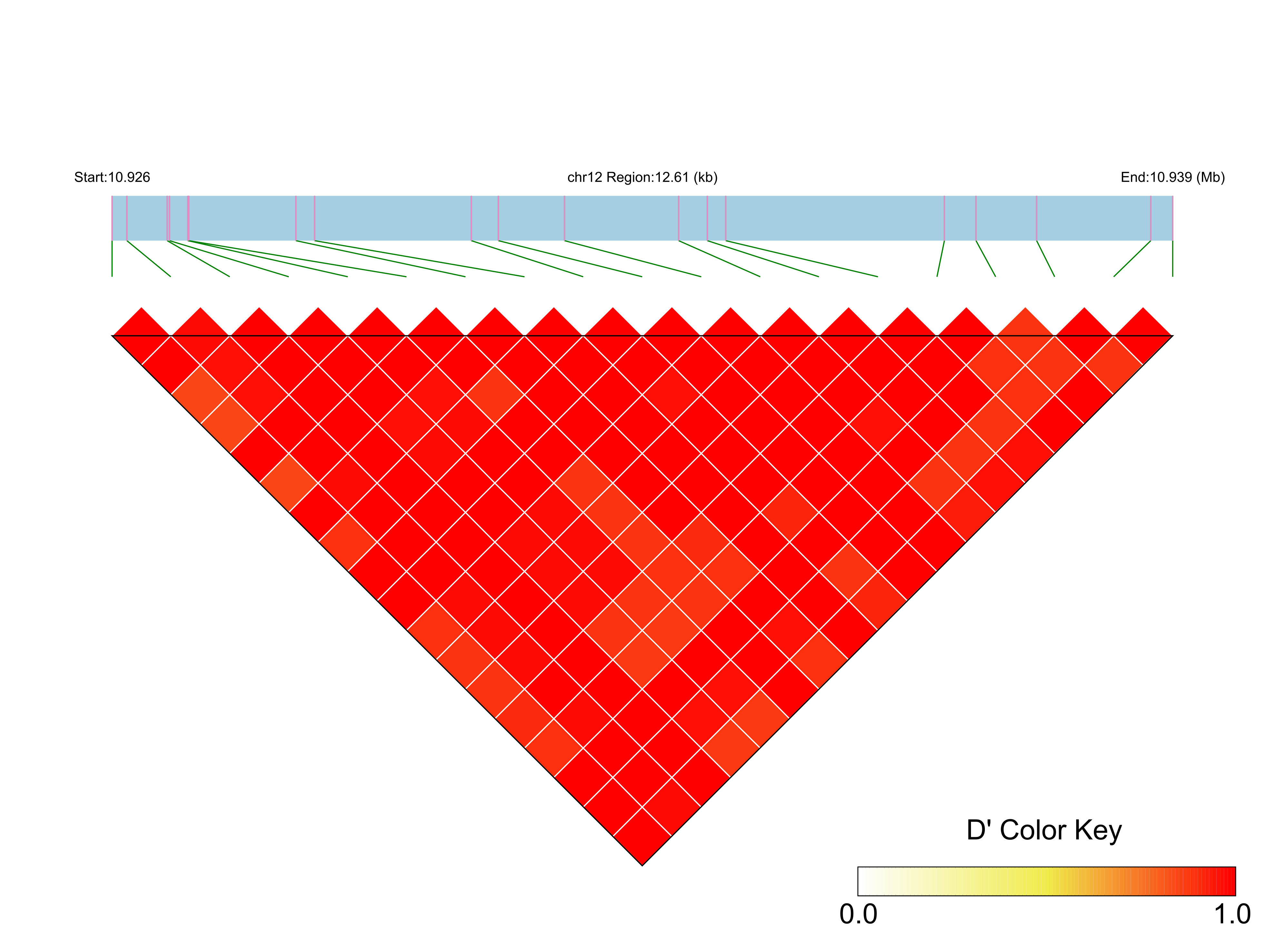 LD
