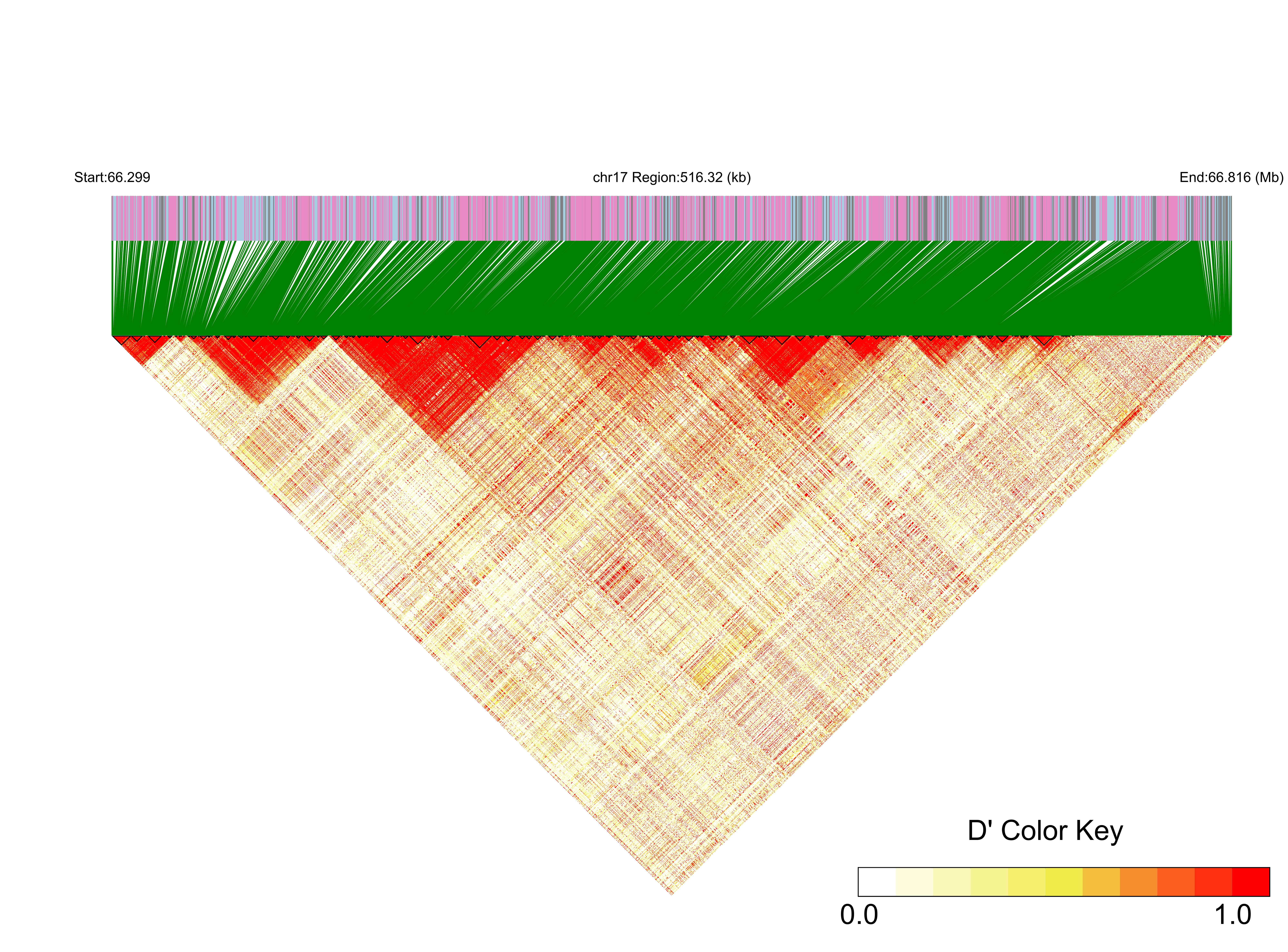 LD