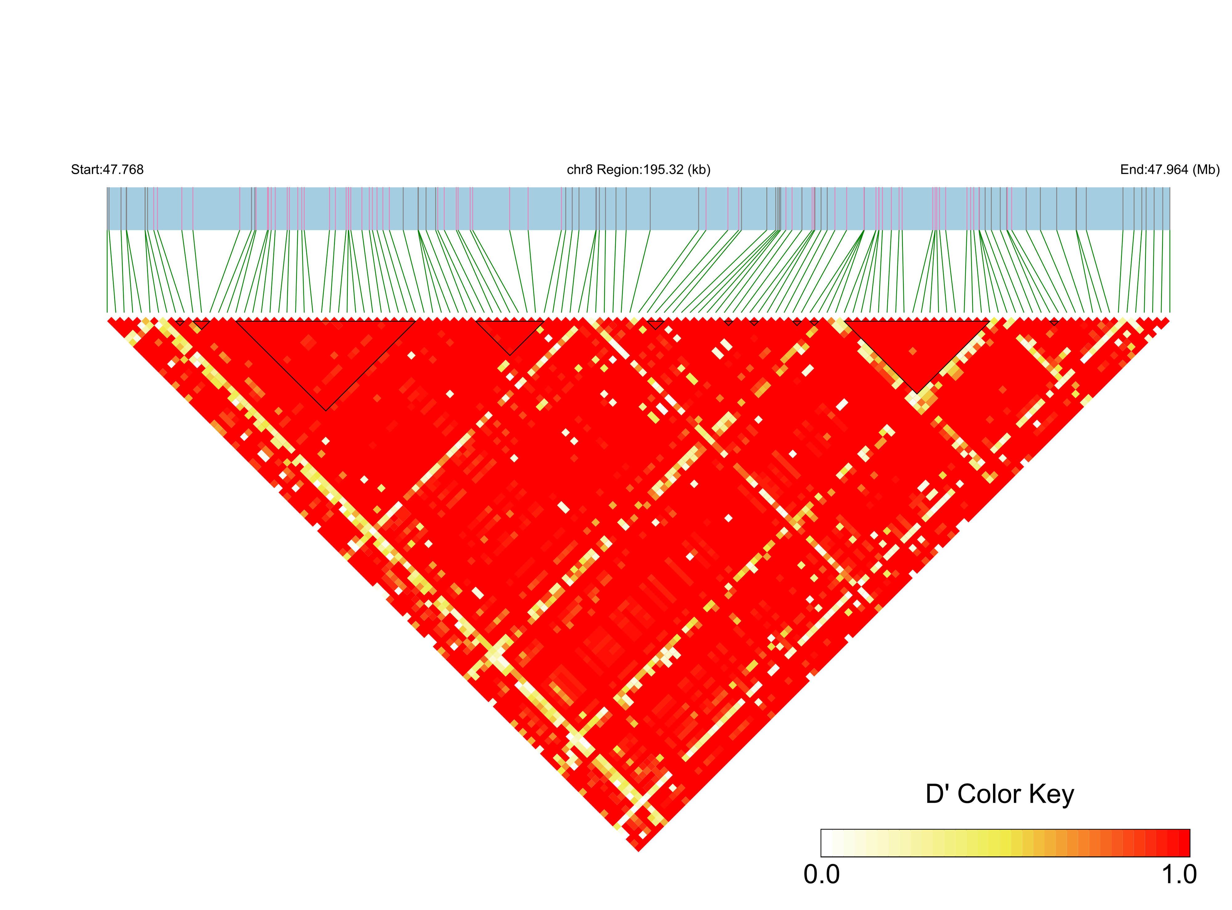 LD