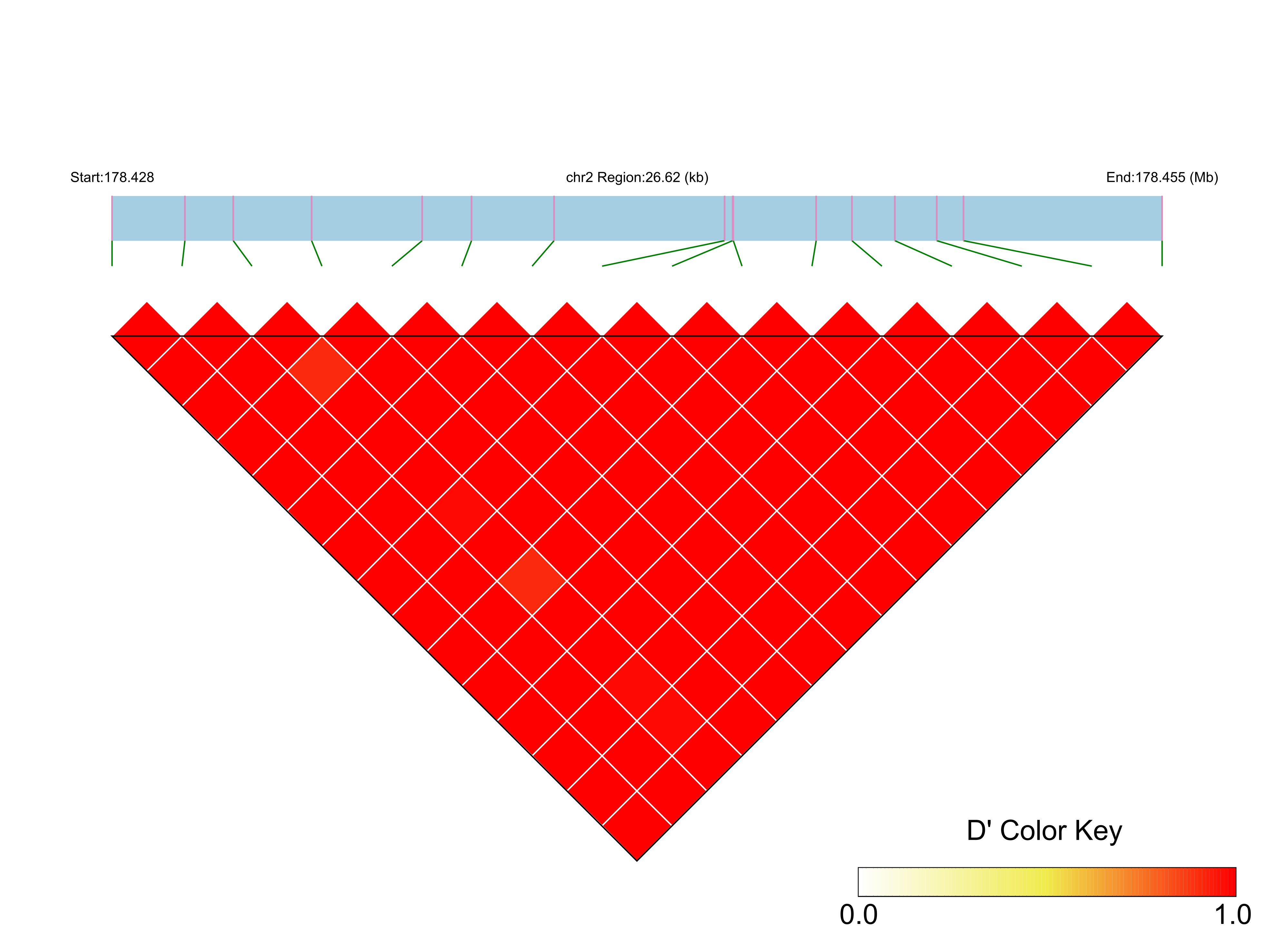 LD