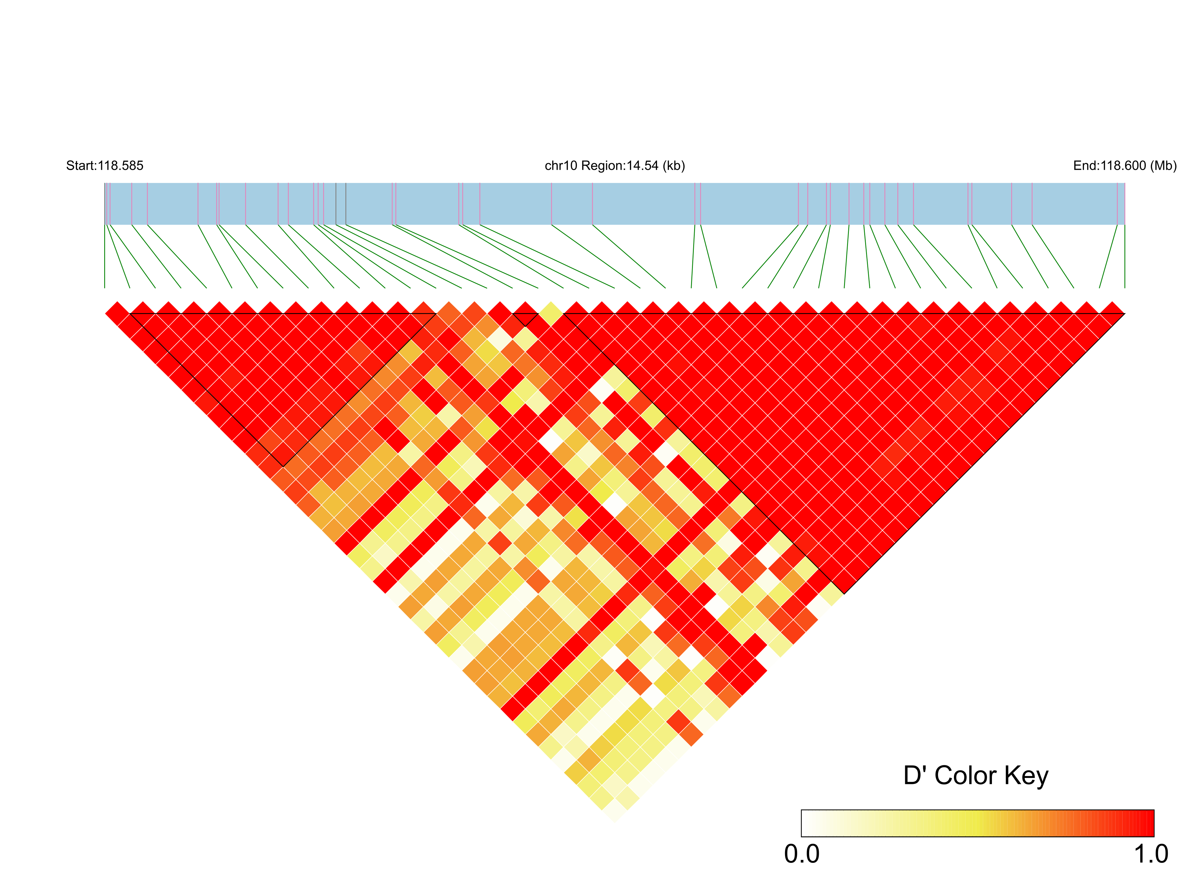 LD