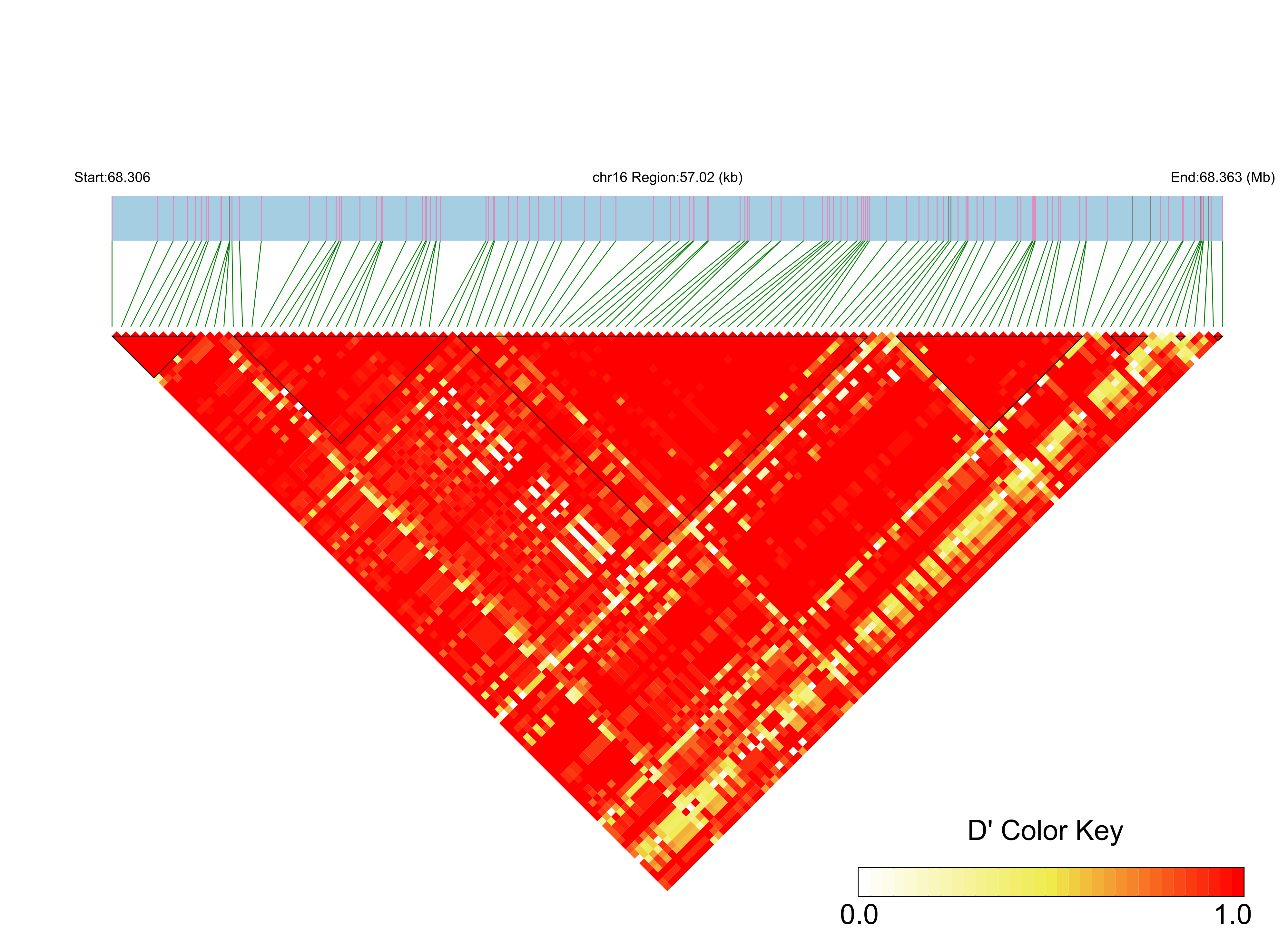 LD