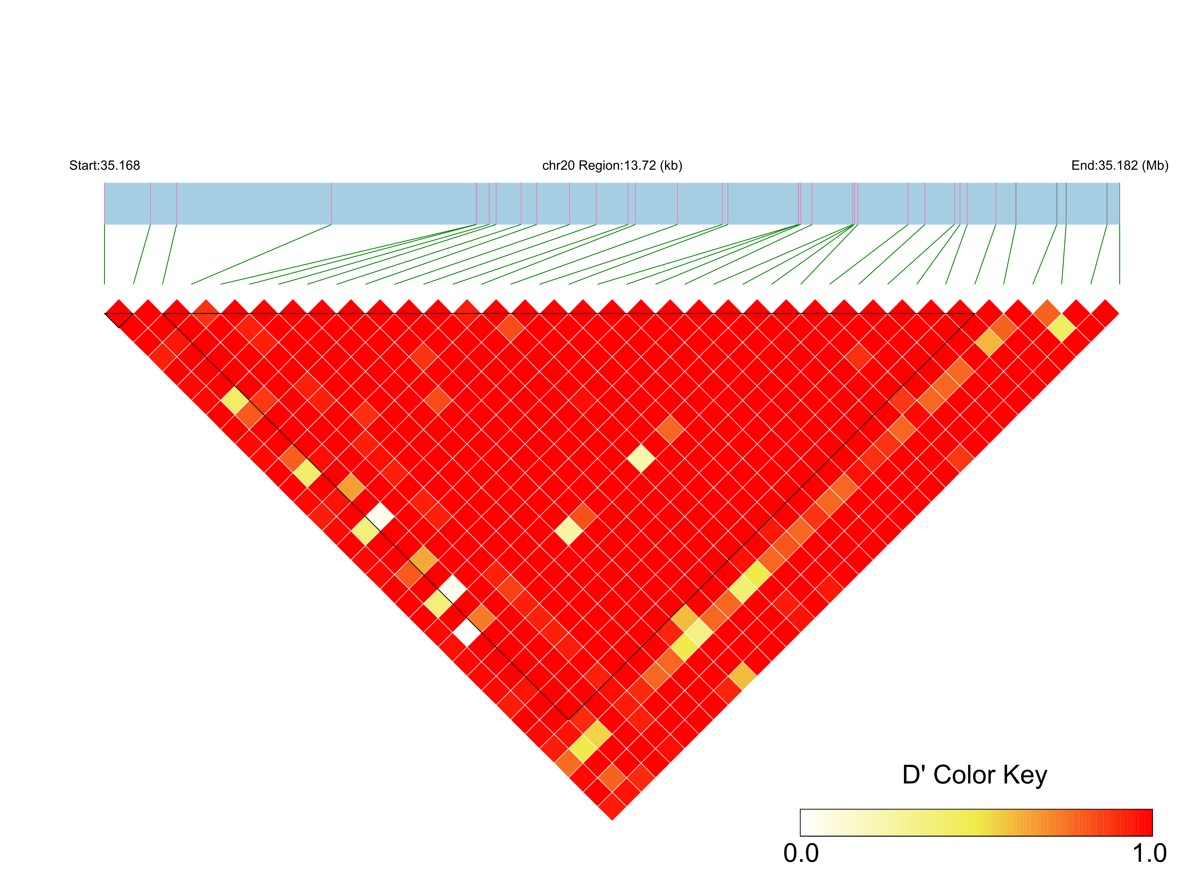LD