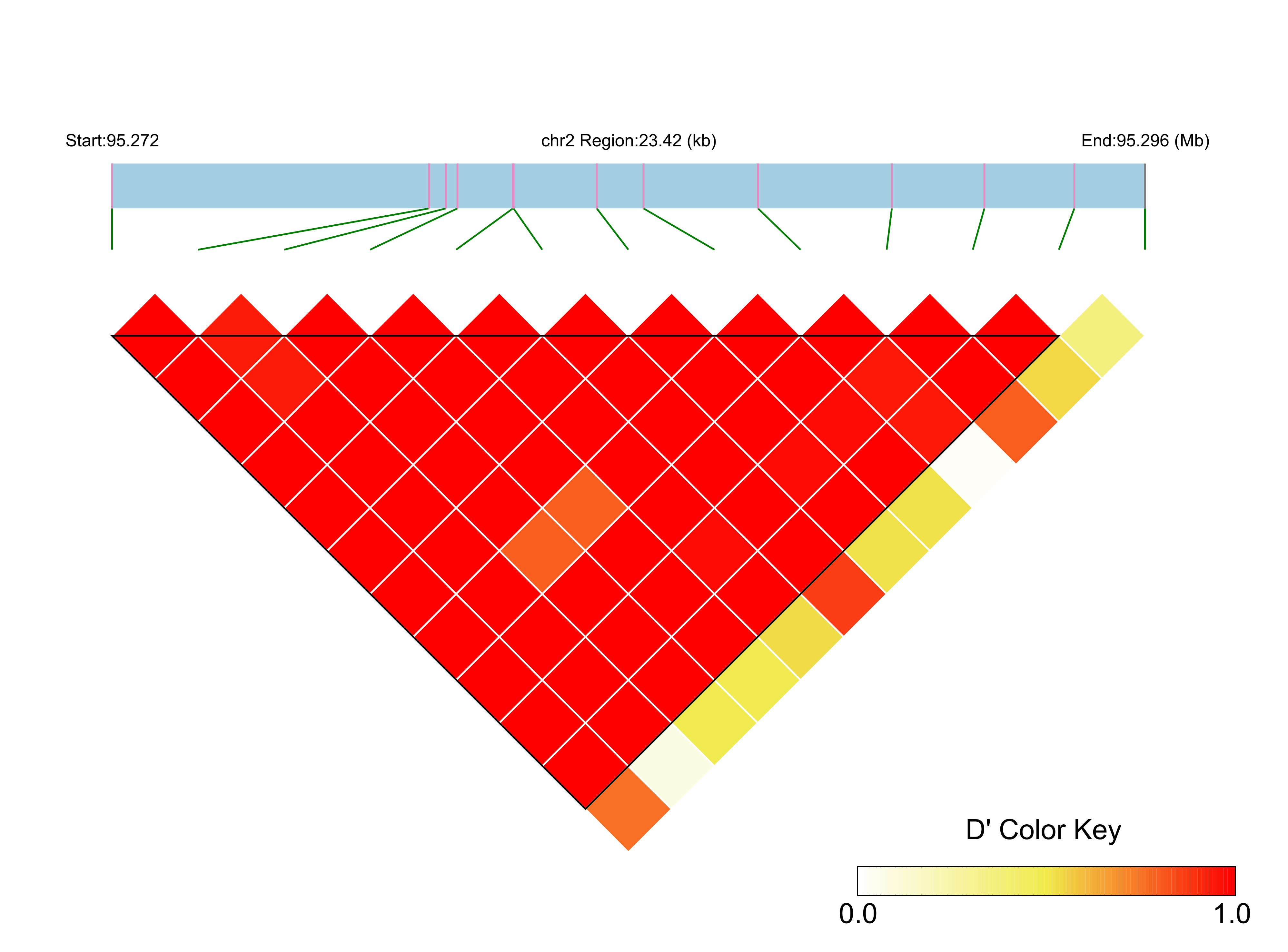 LD