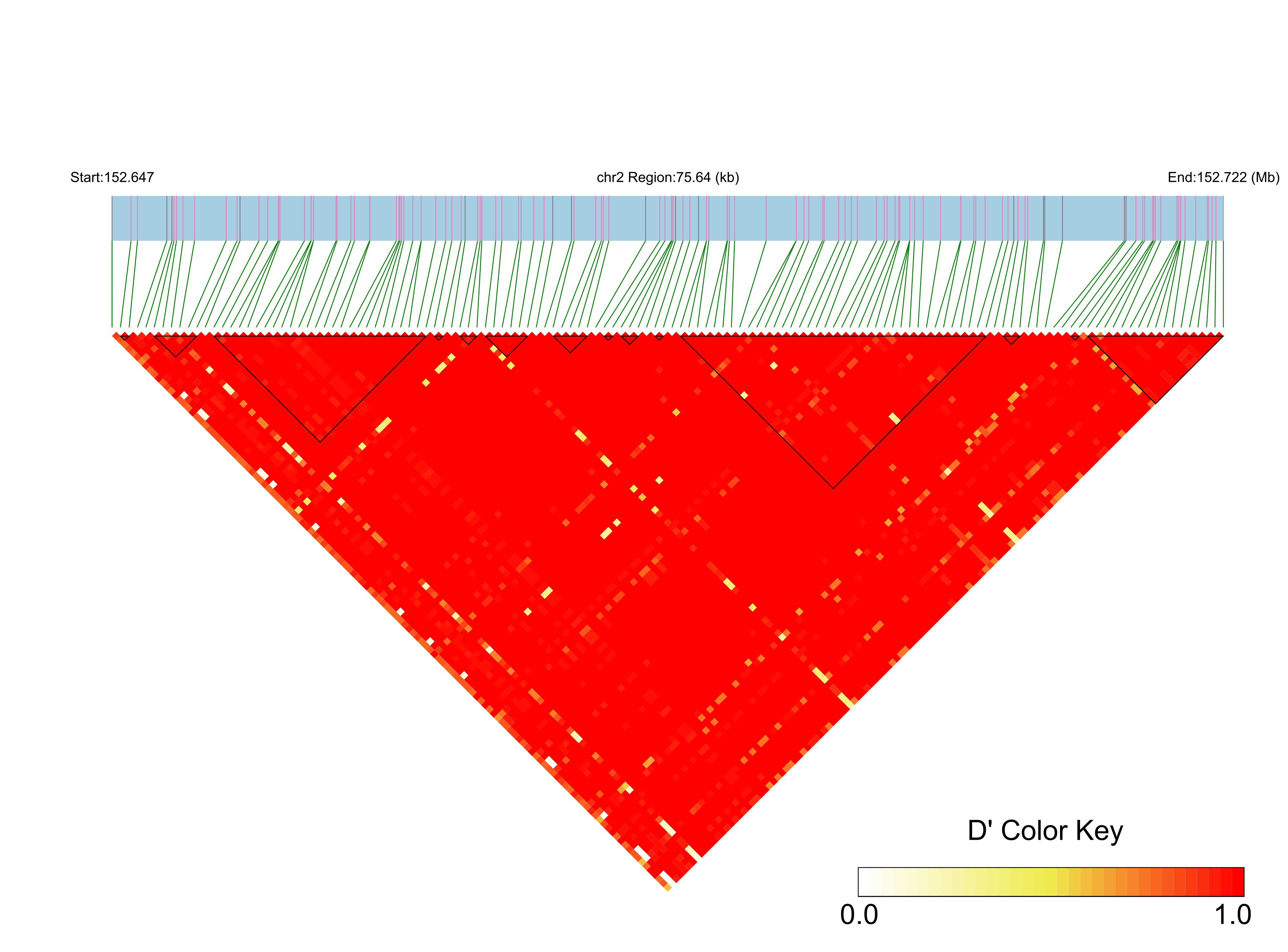 LD