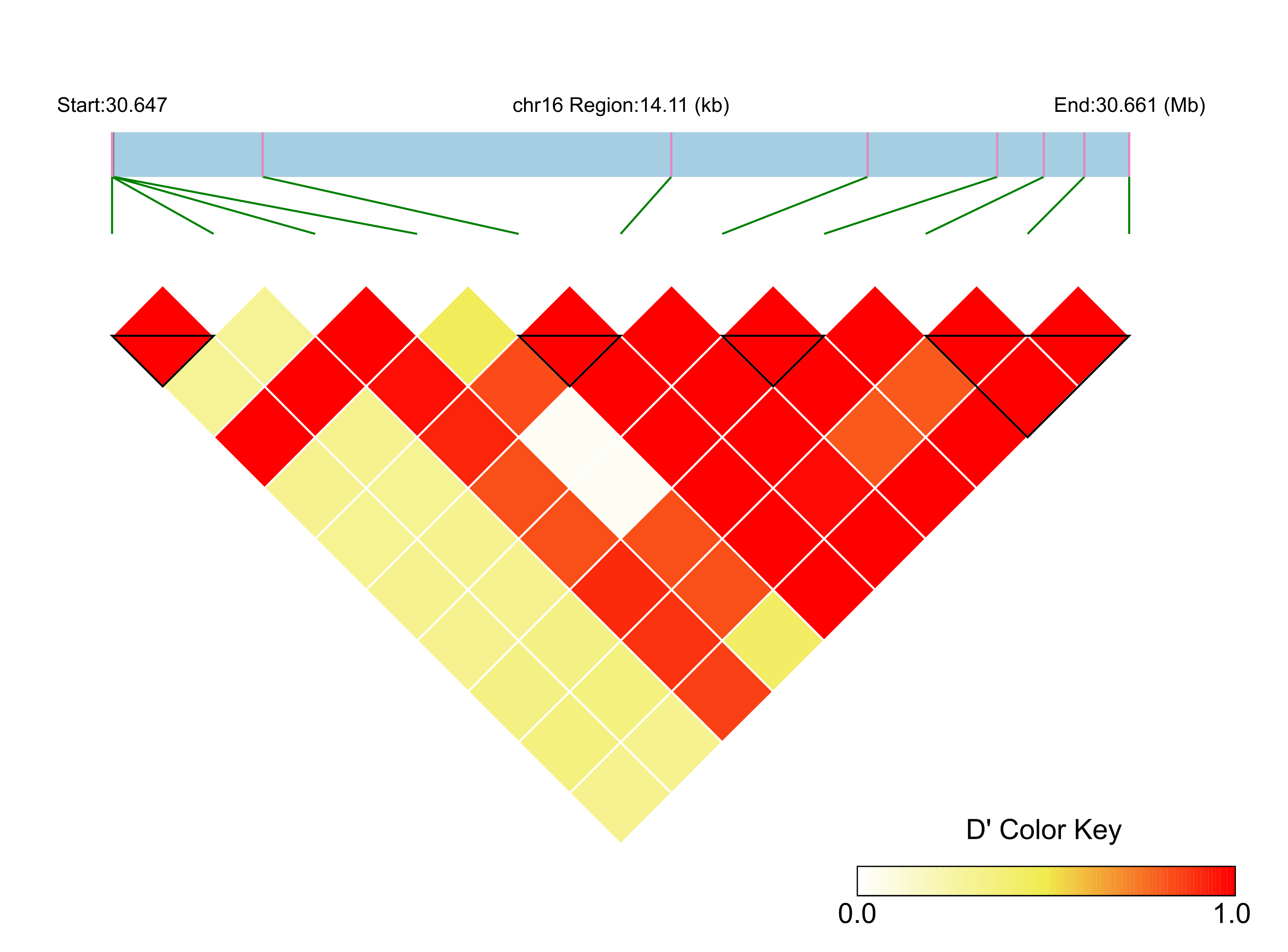 LD