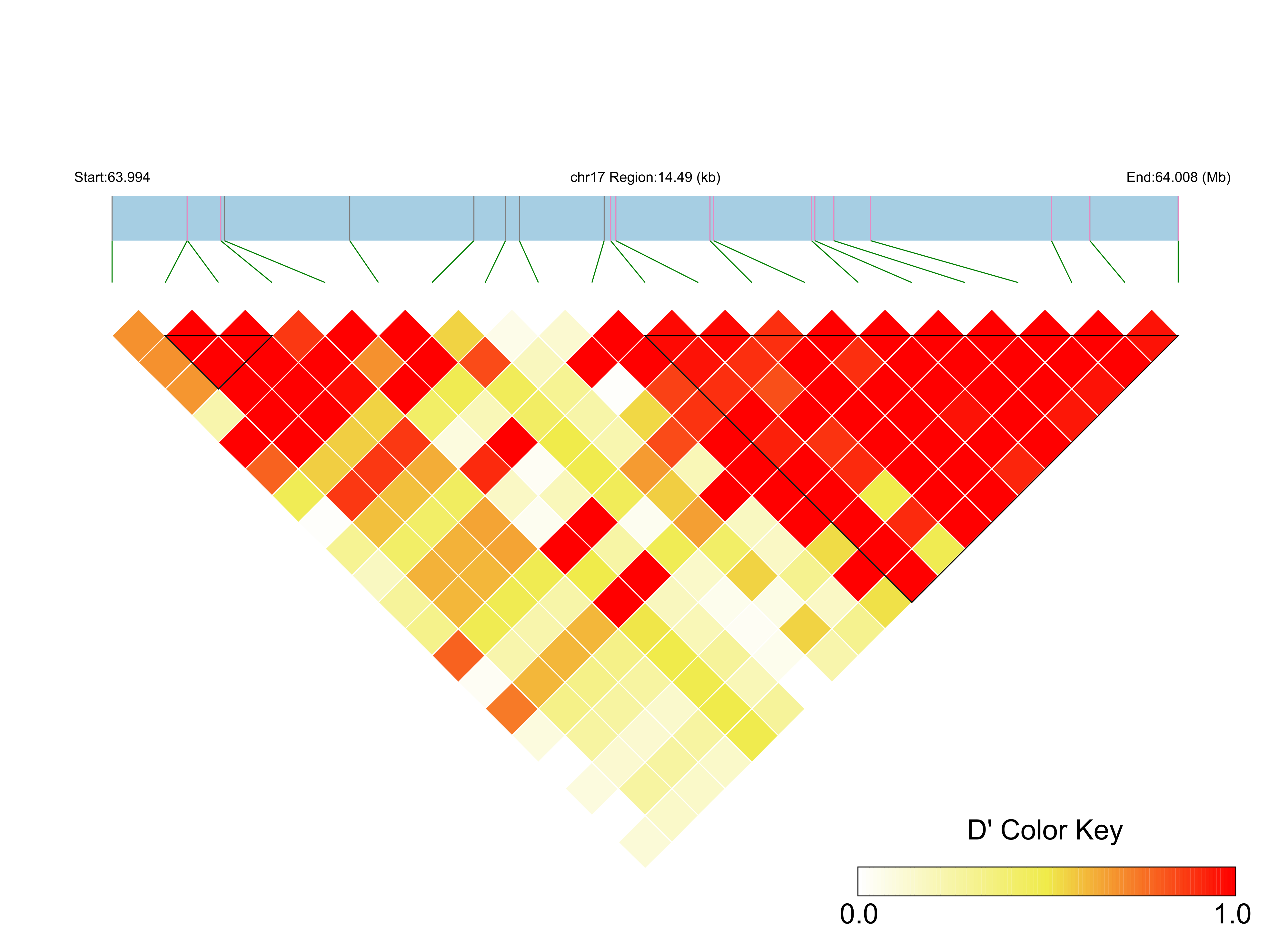 LD