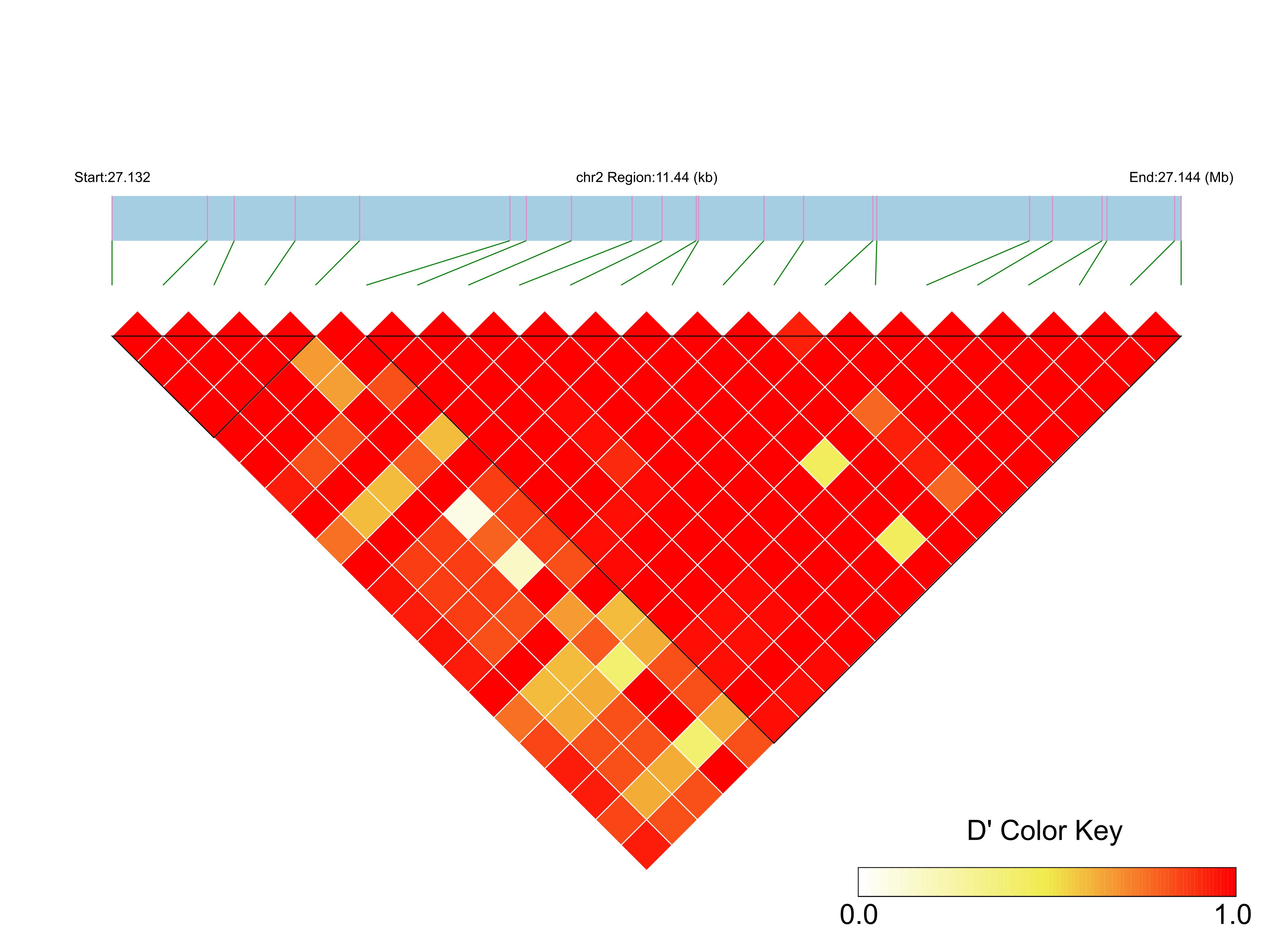 LD