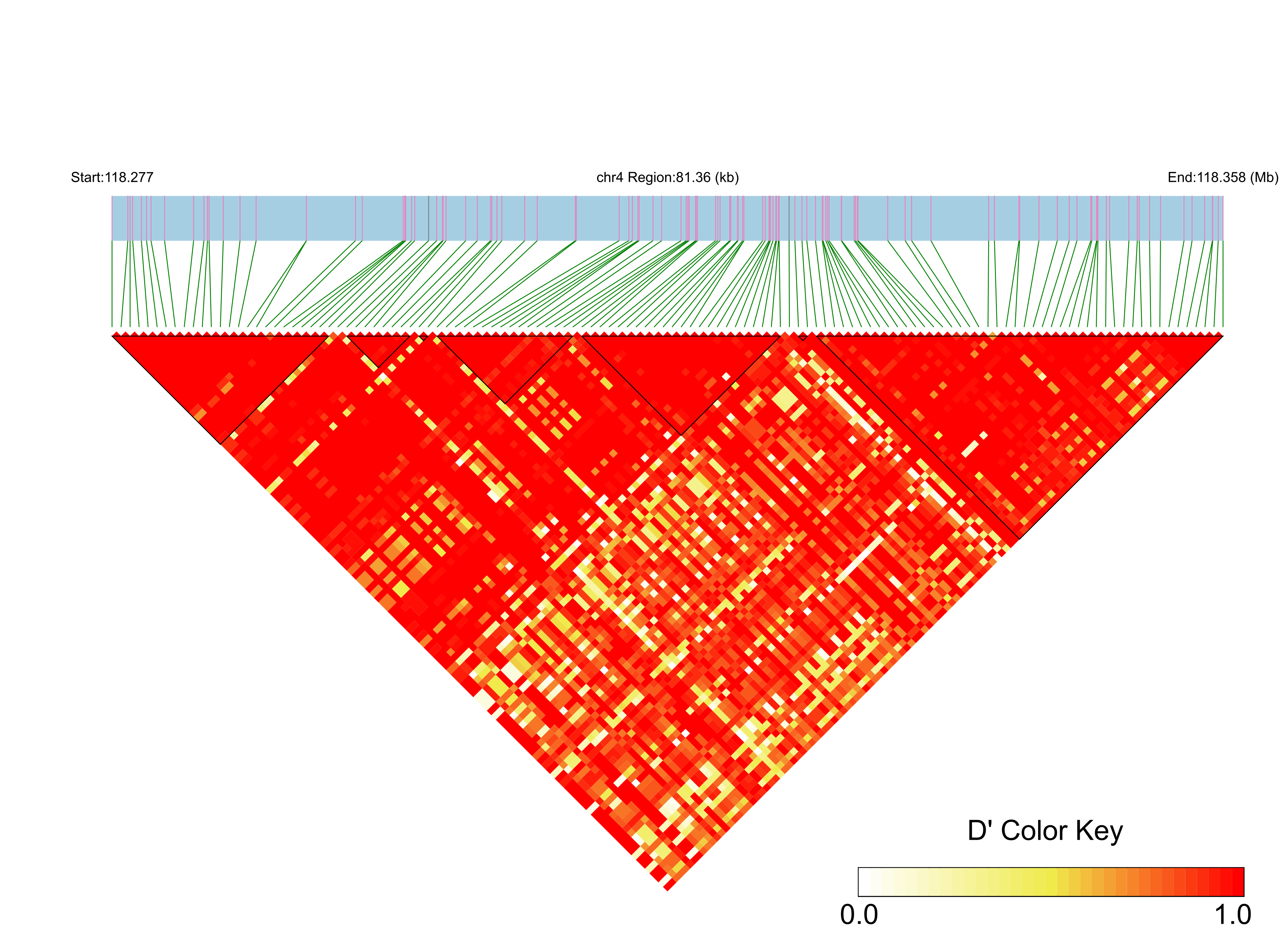 LD