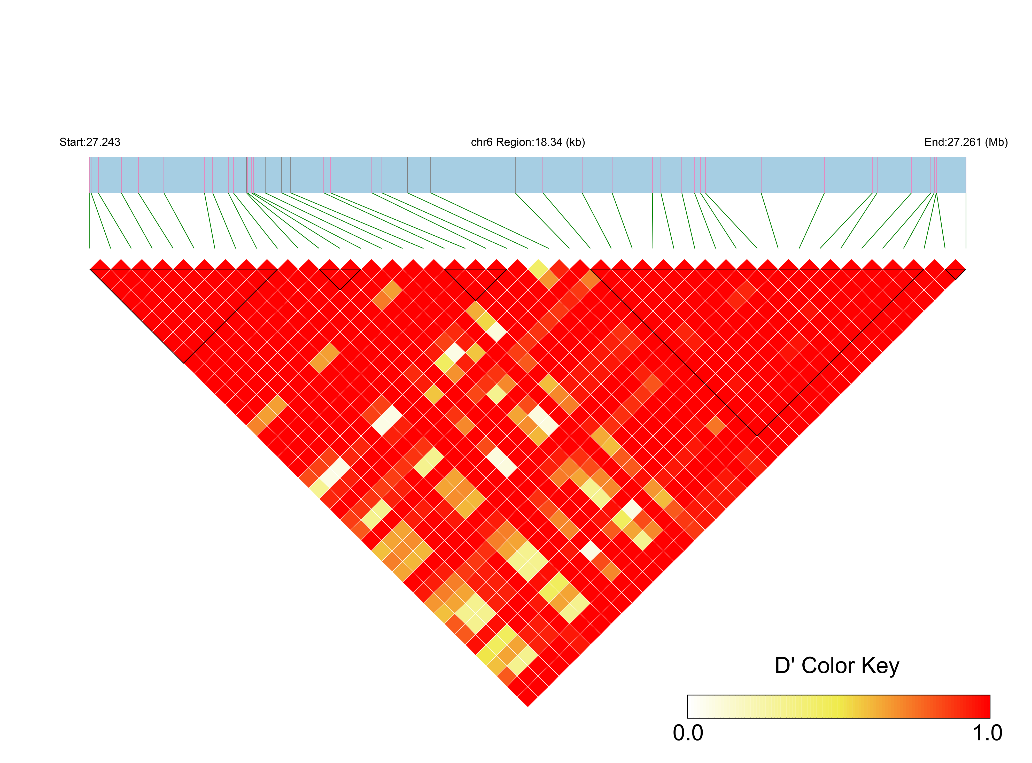 LD