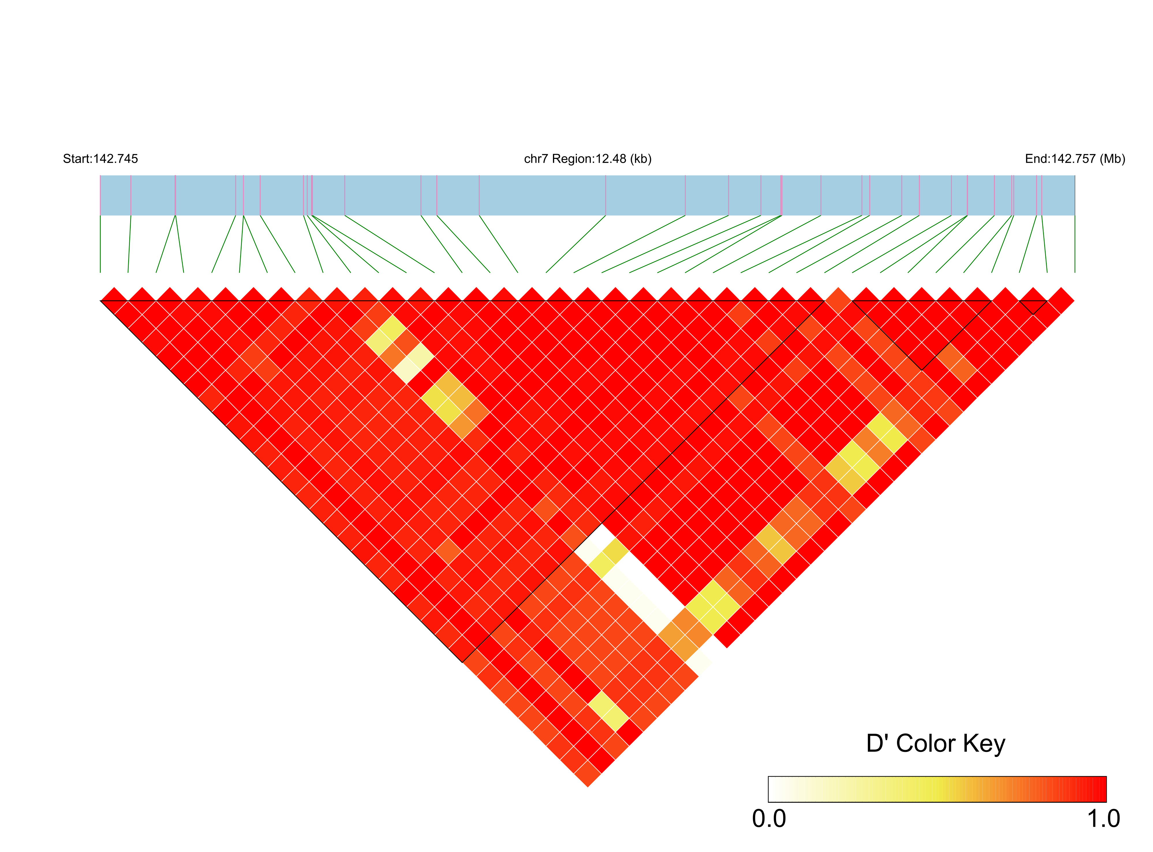 LD