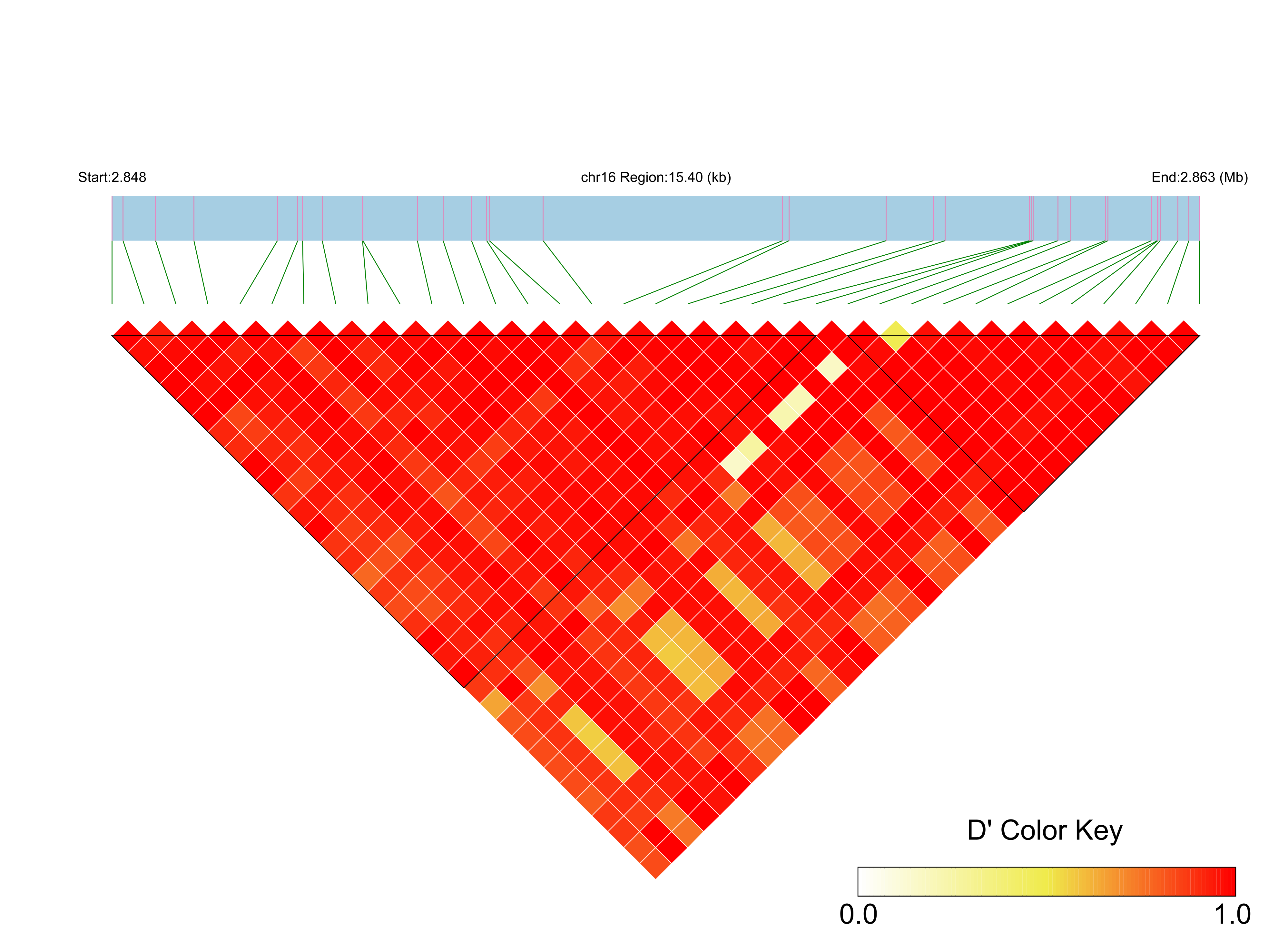 LD