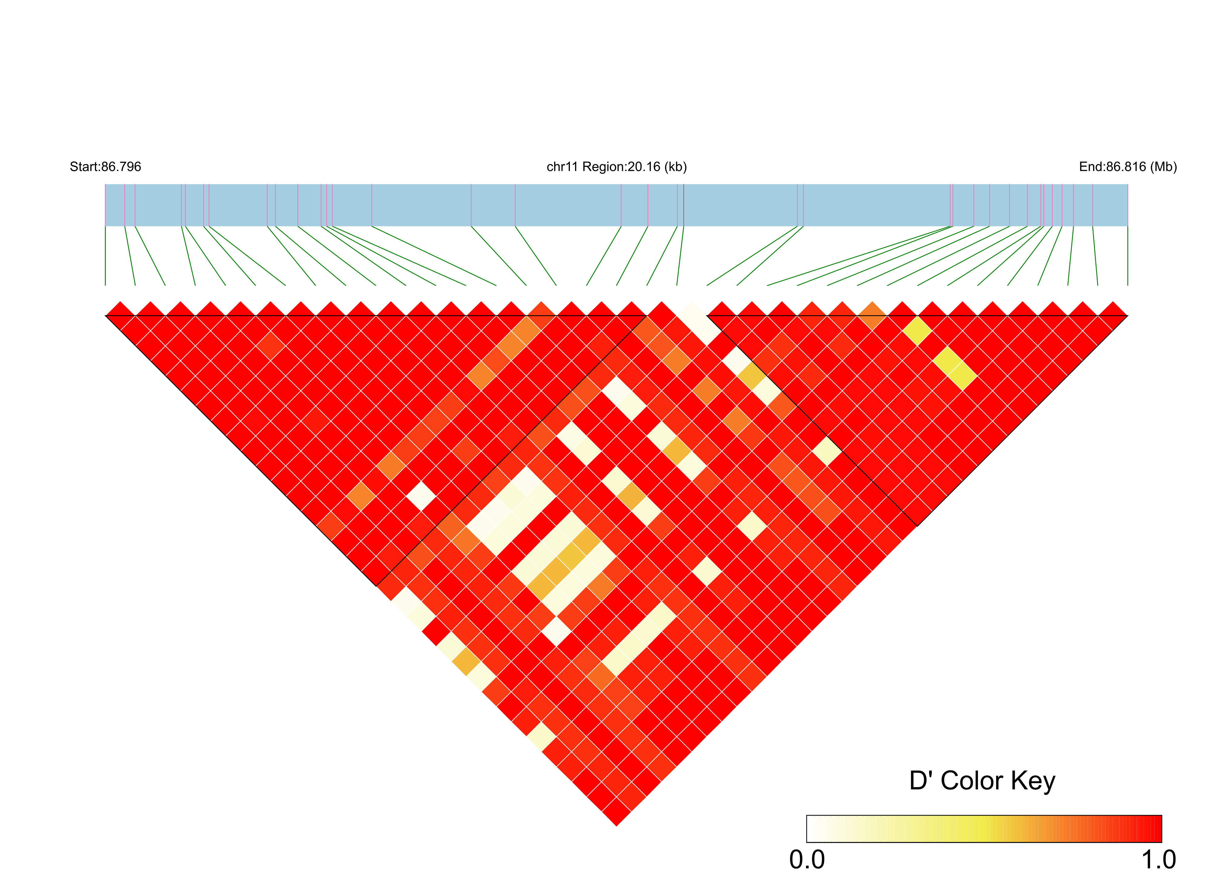 LD