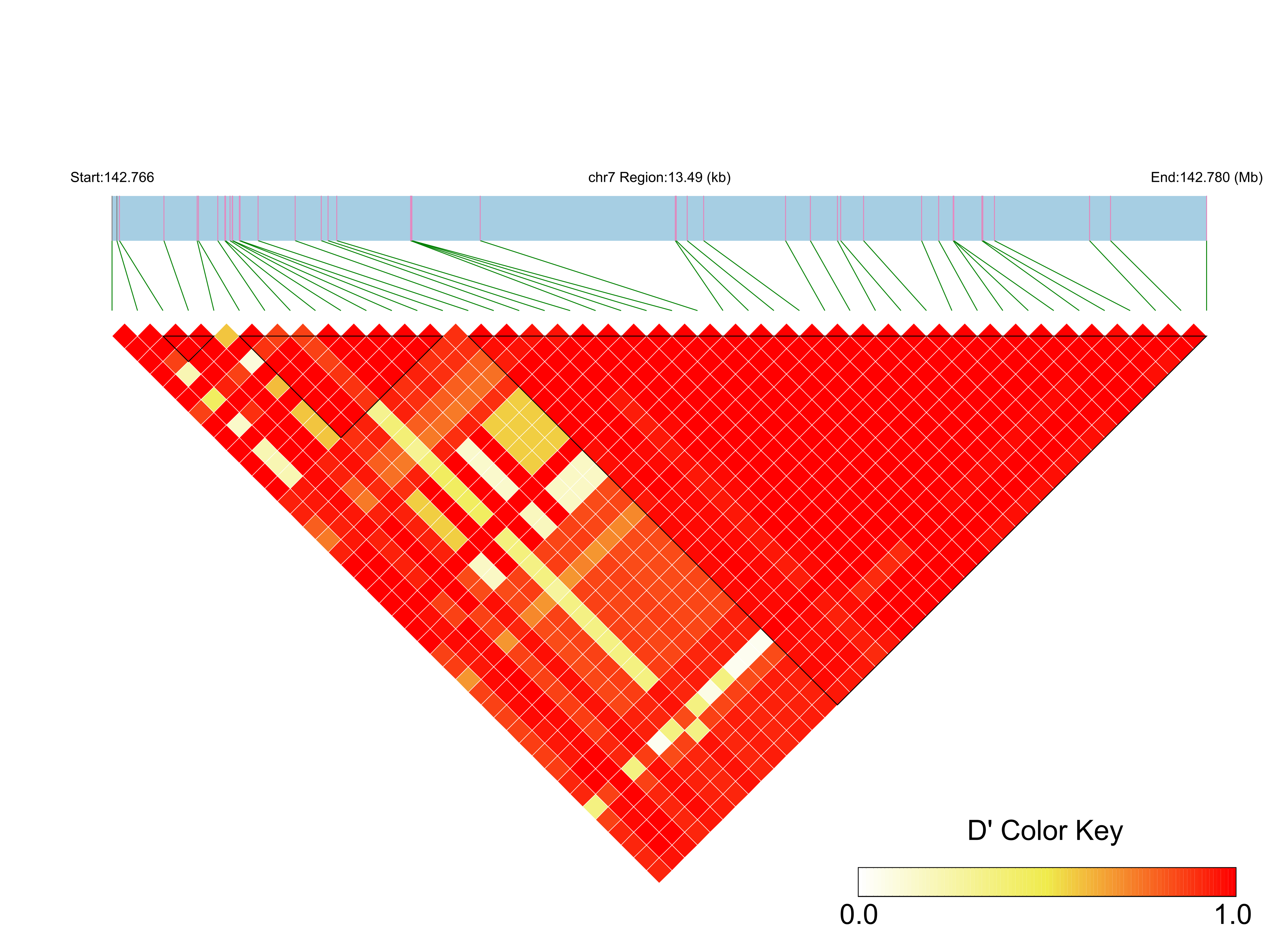 LD