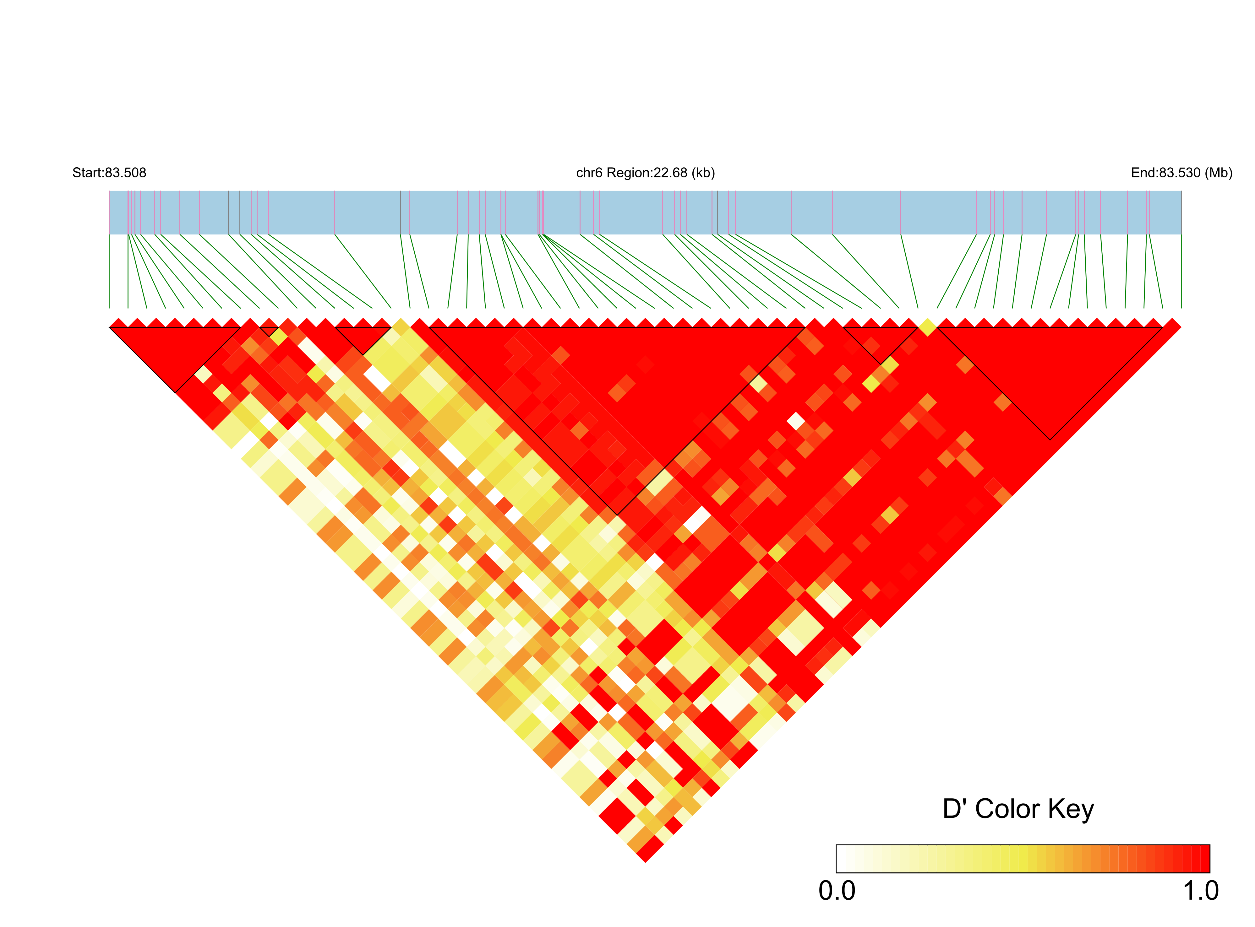 LD