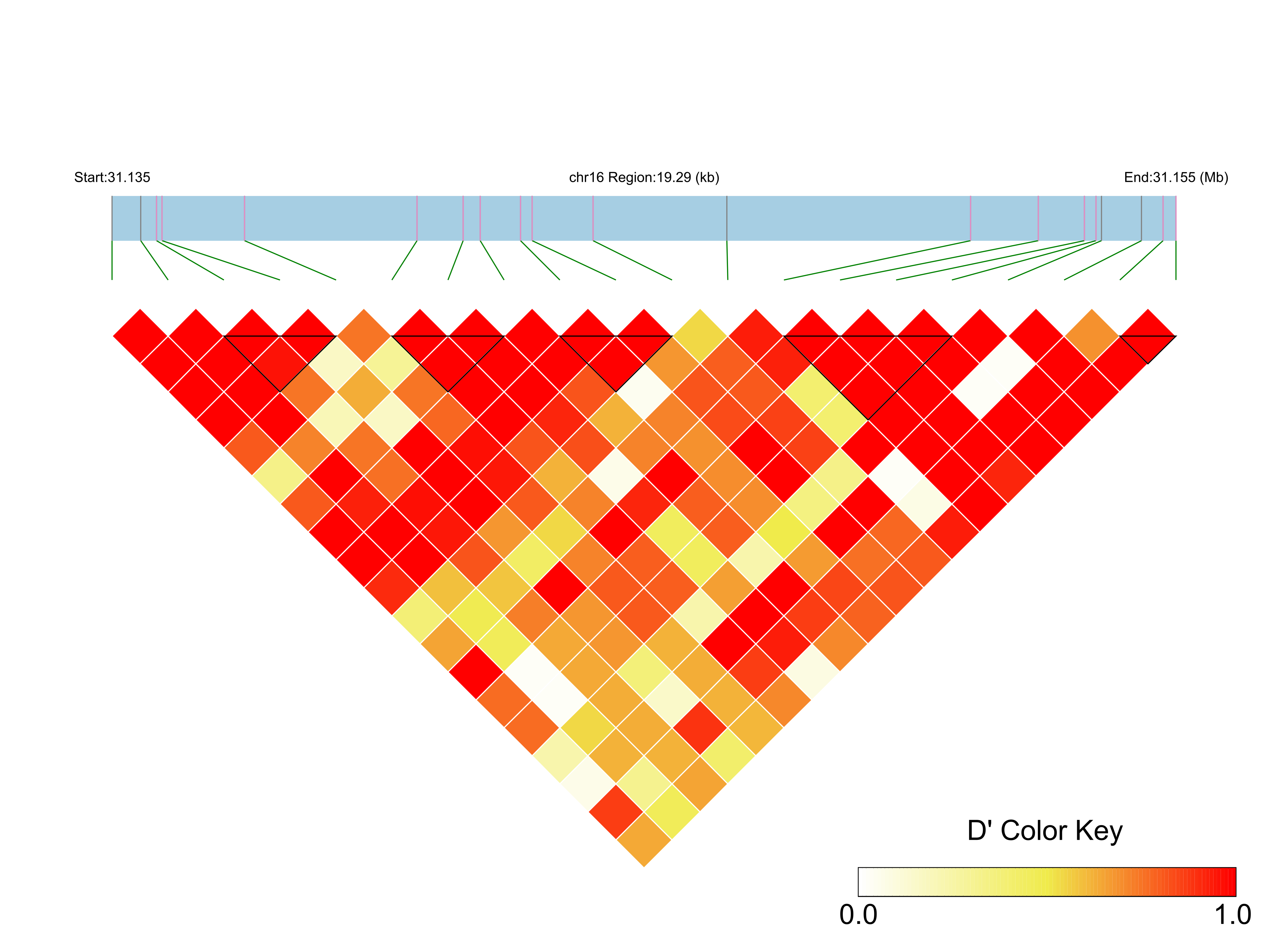 LD