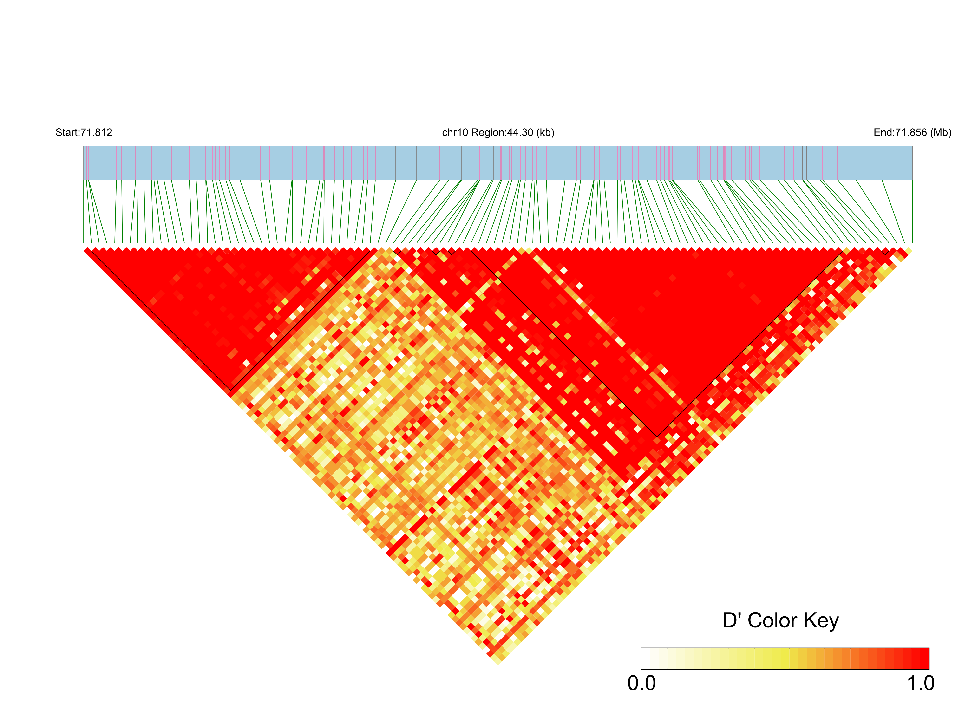 LD