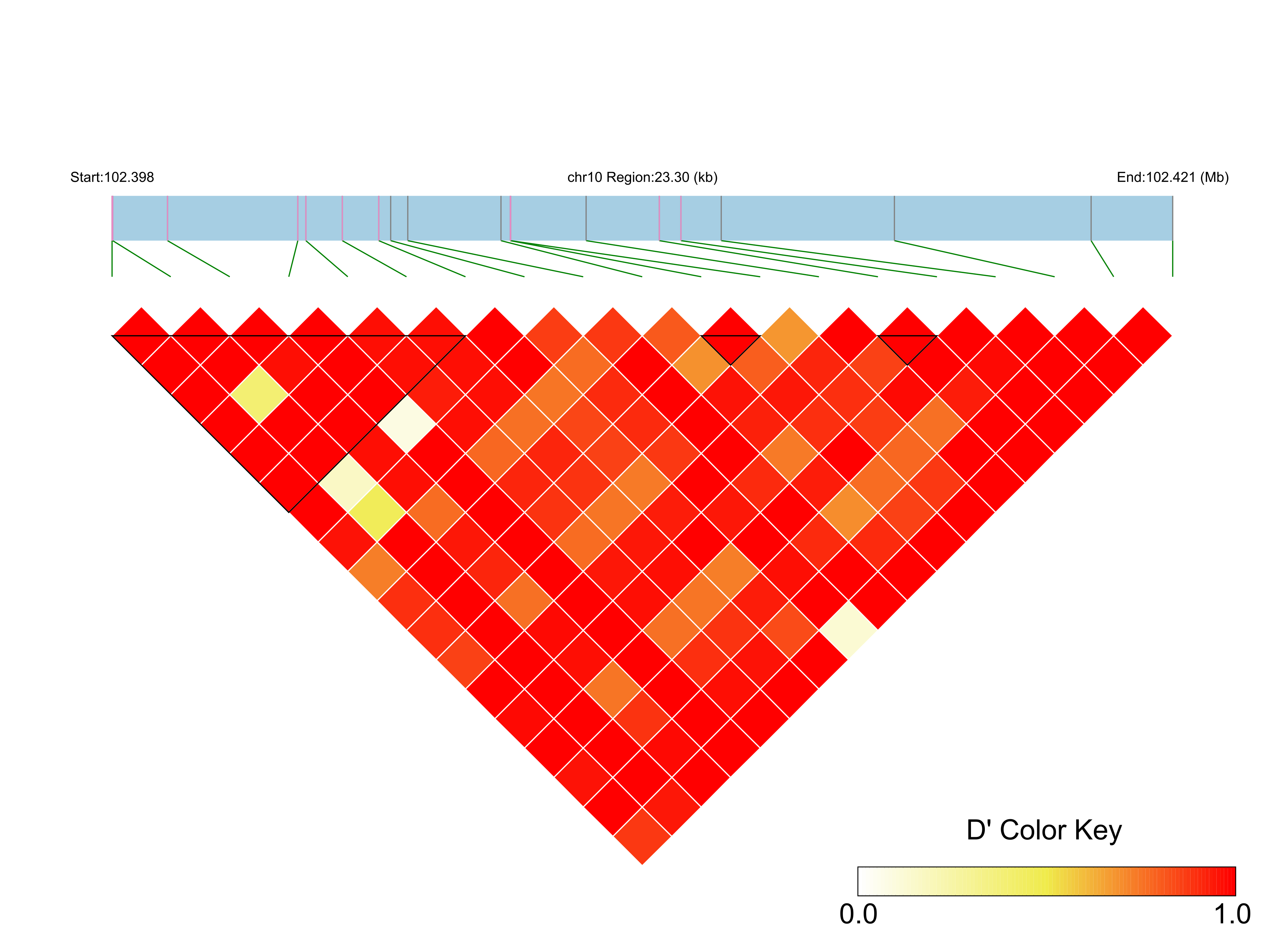 LD