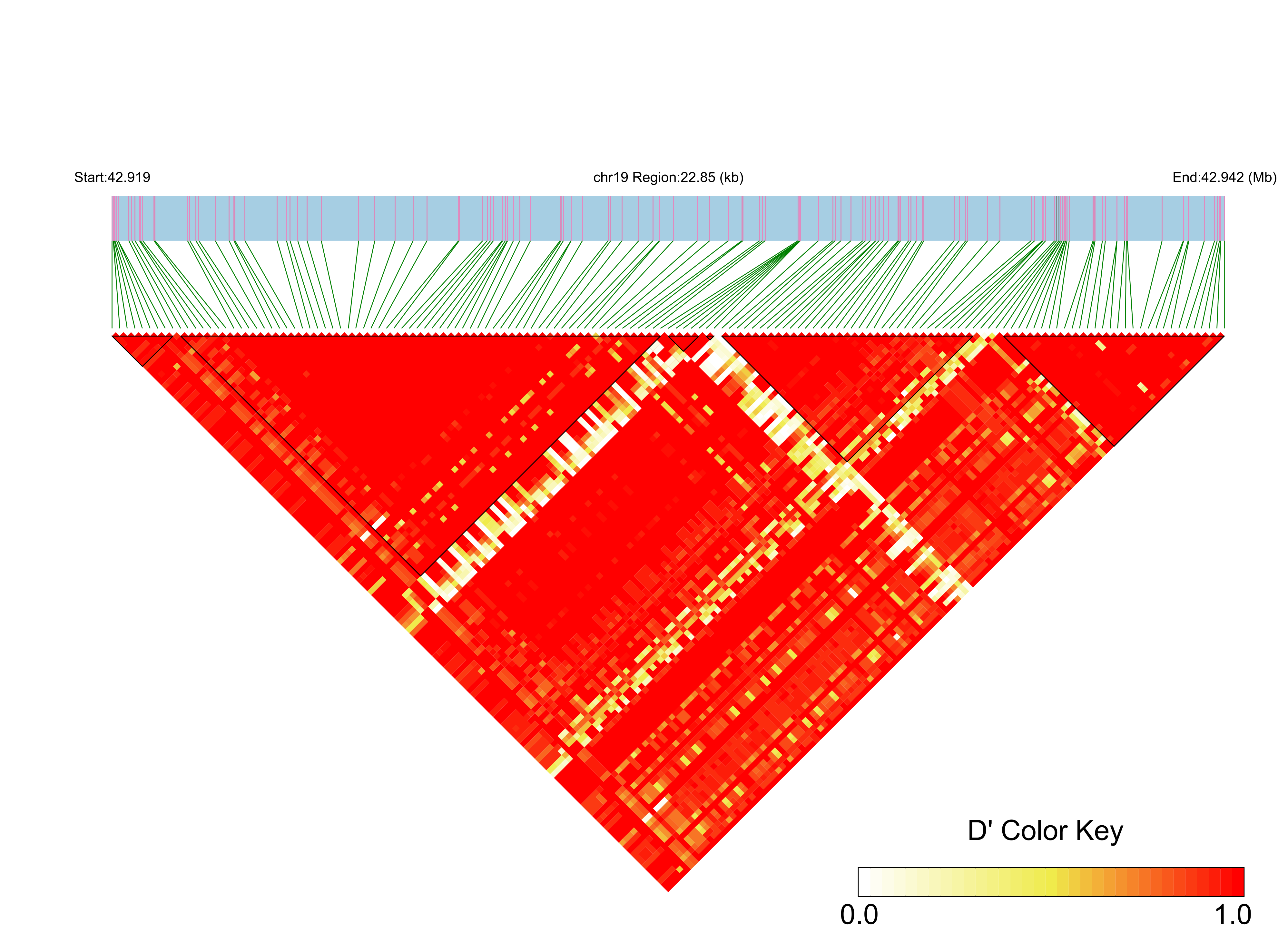 LD