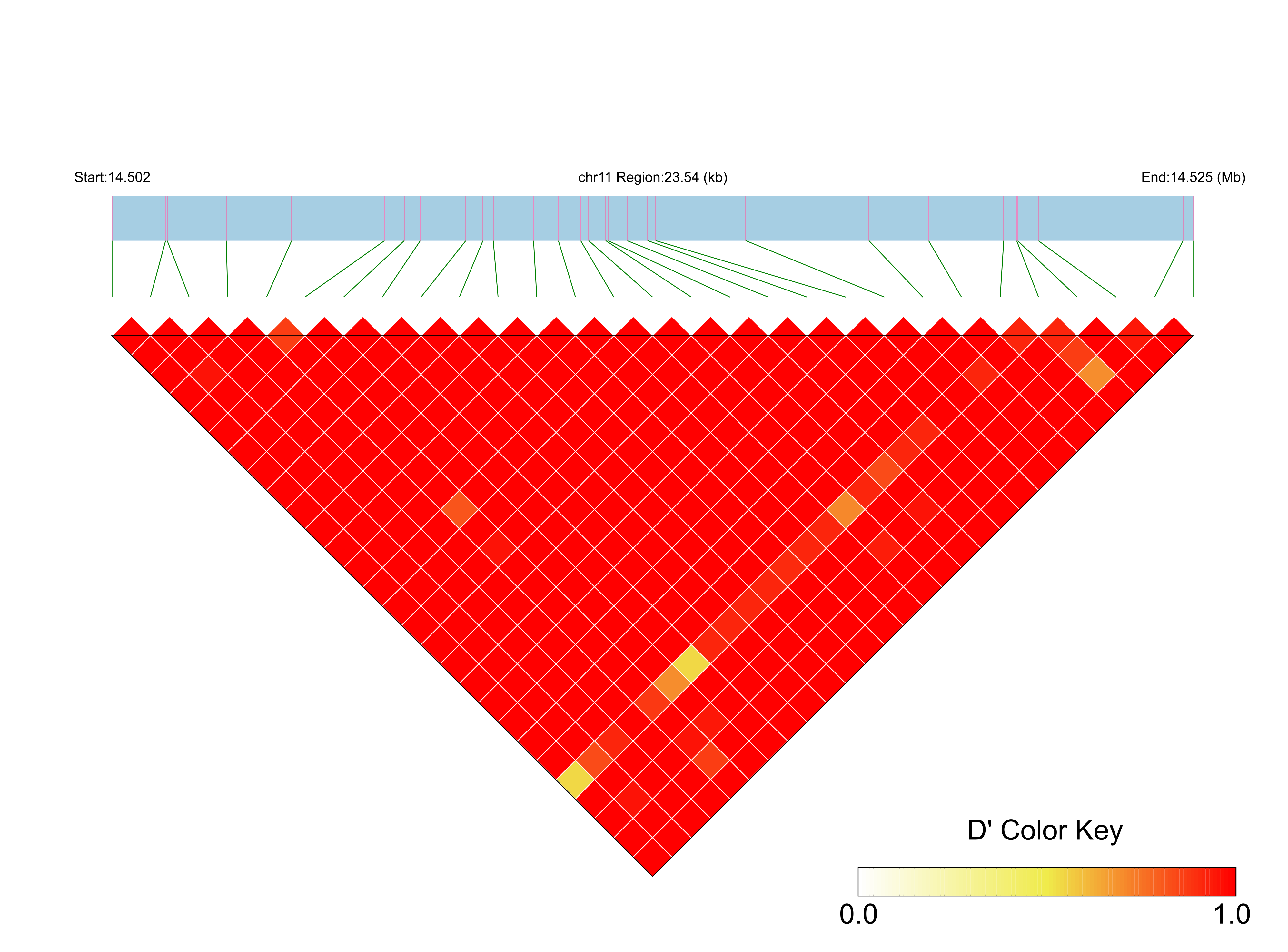 LD
