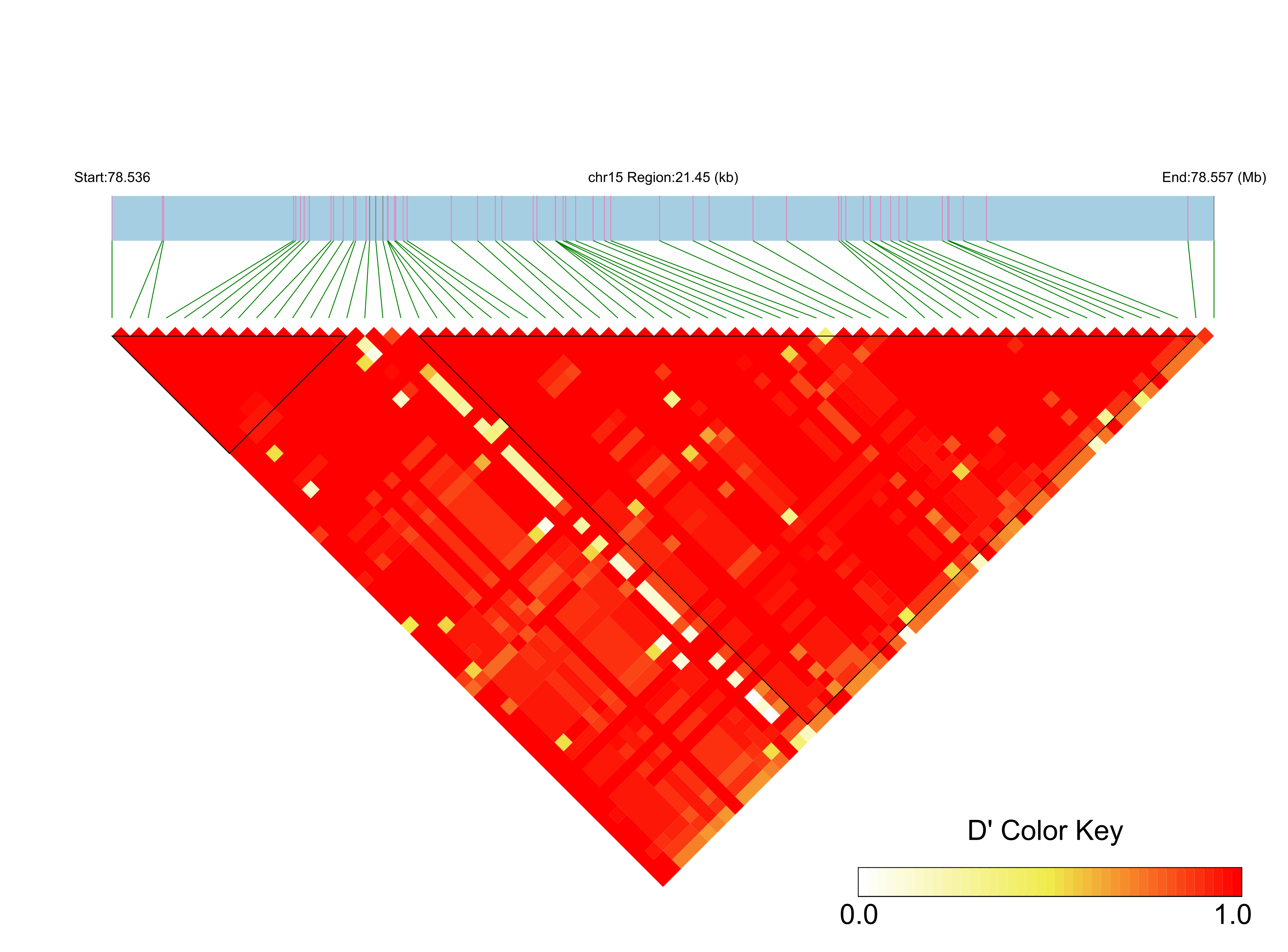 LD