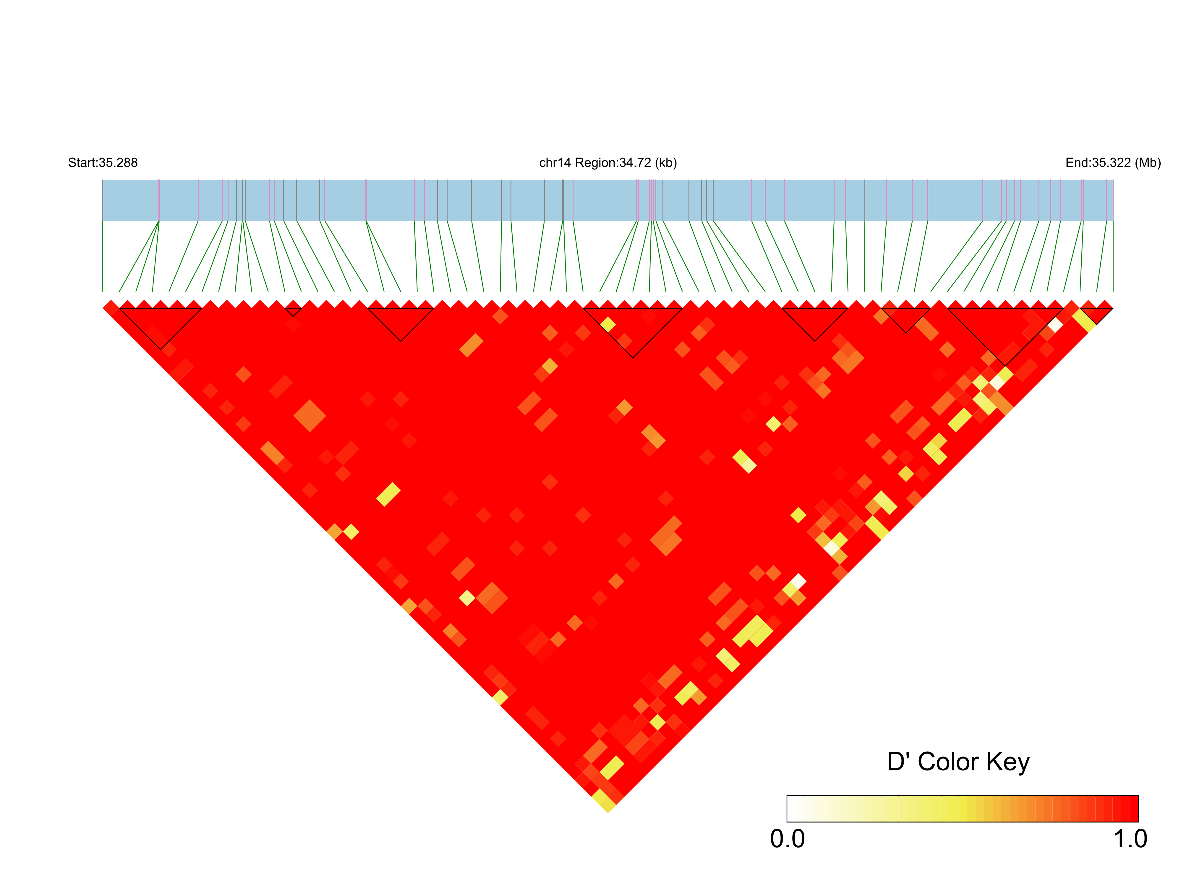LD