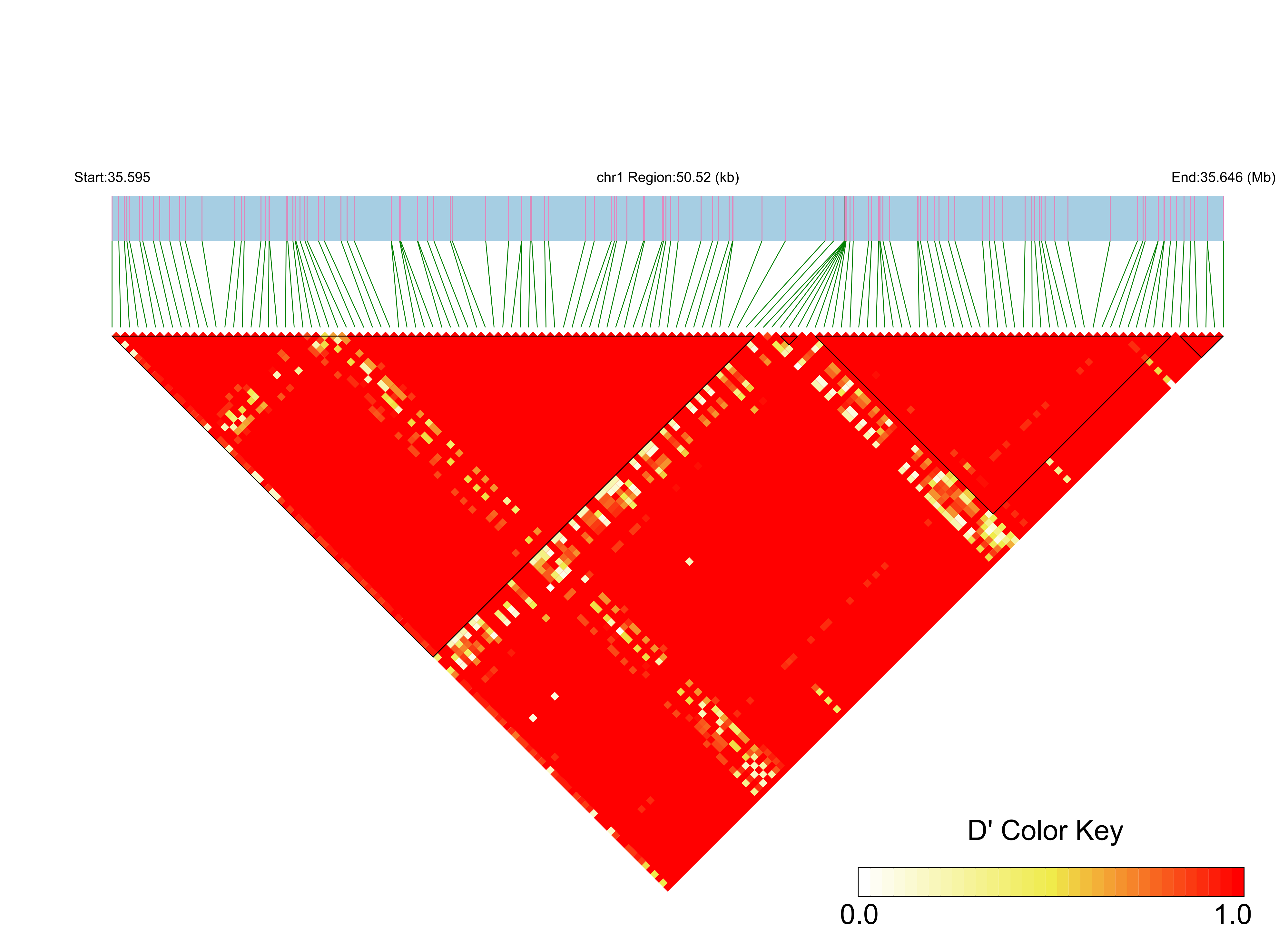 LD
