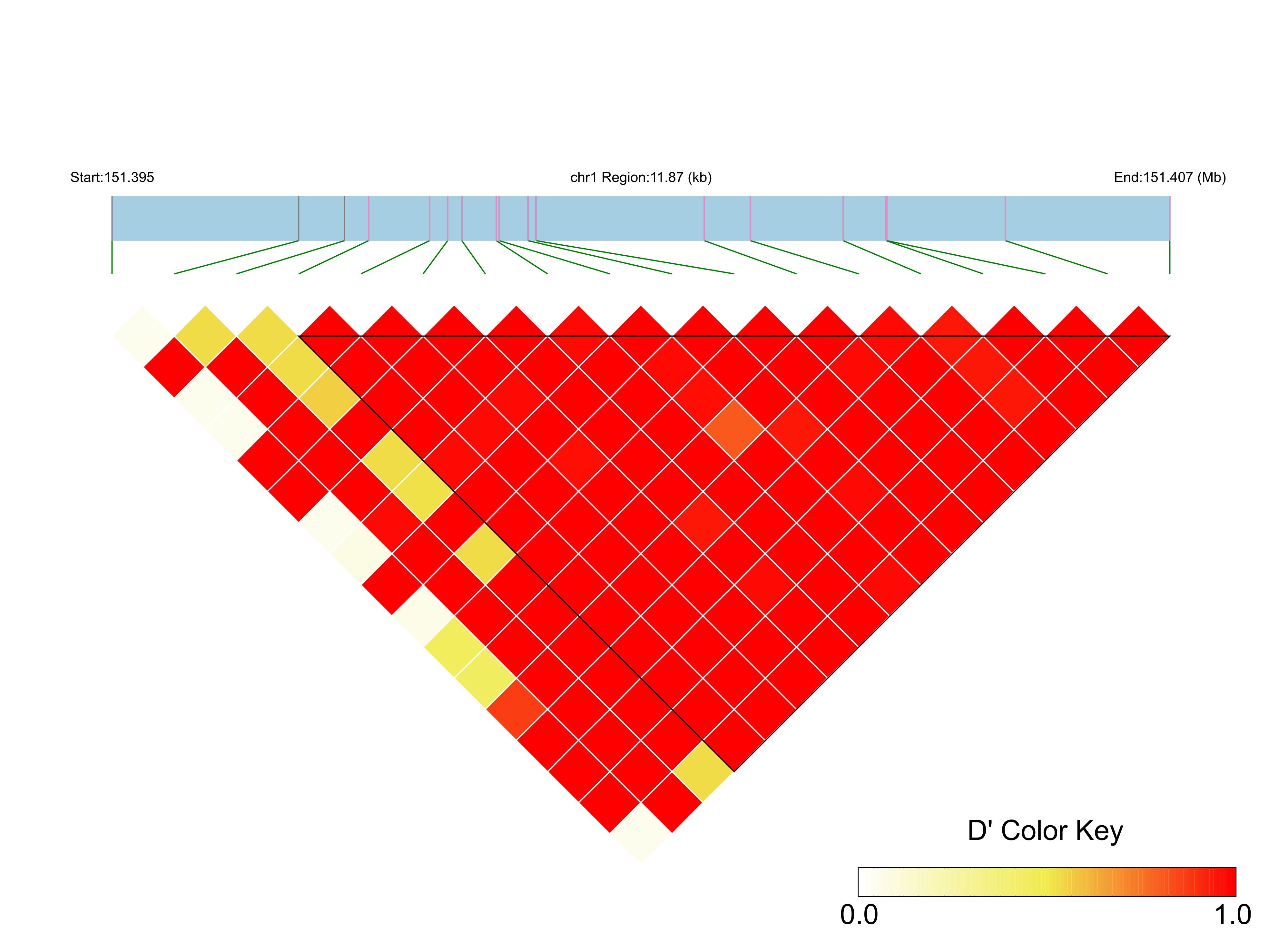 LD