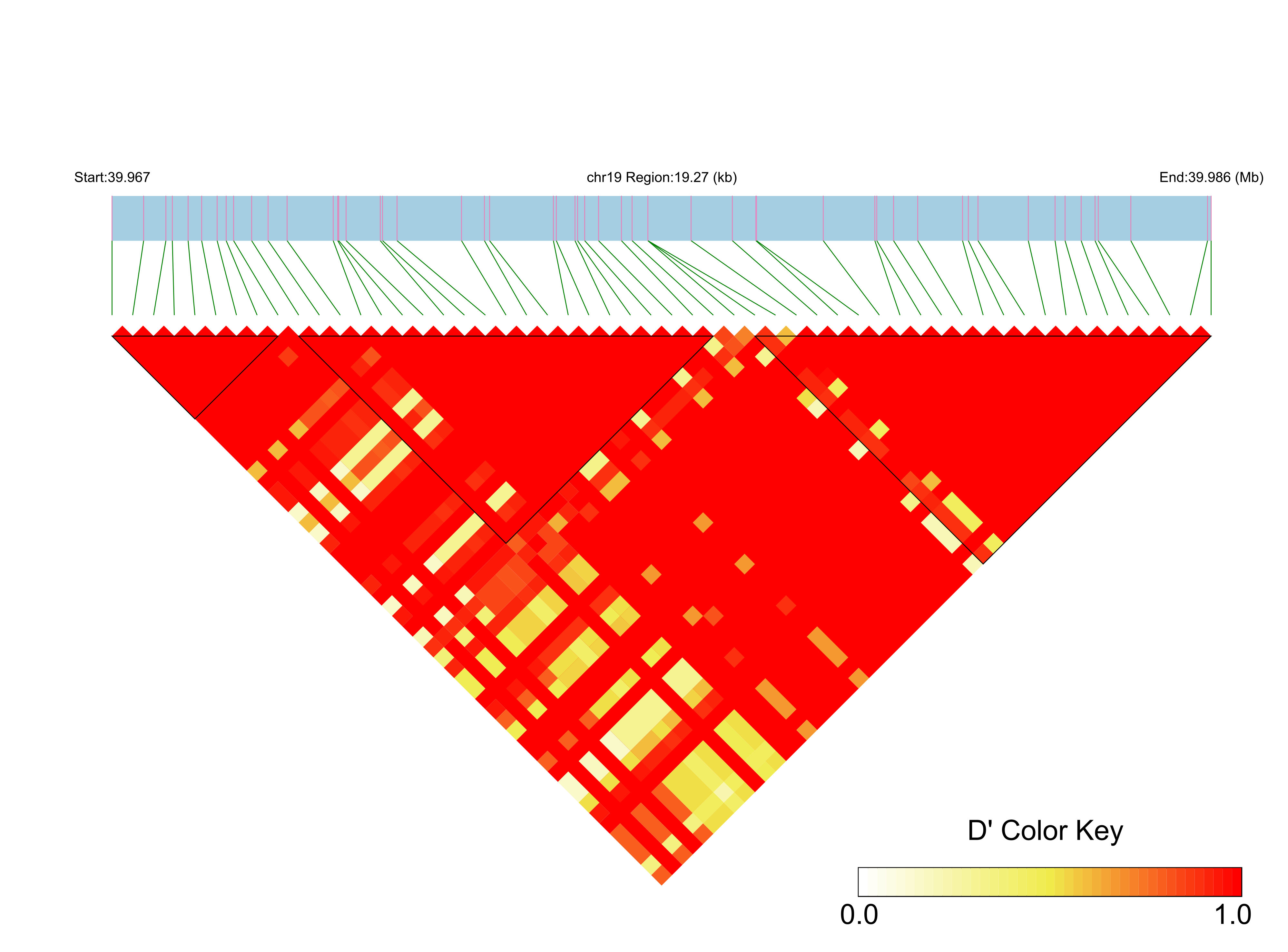 LD
