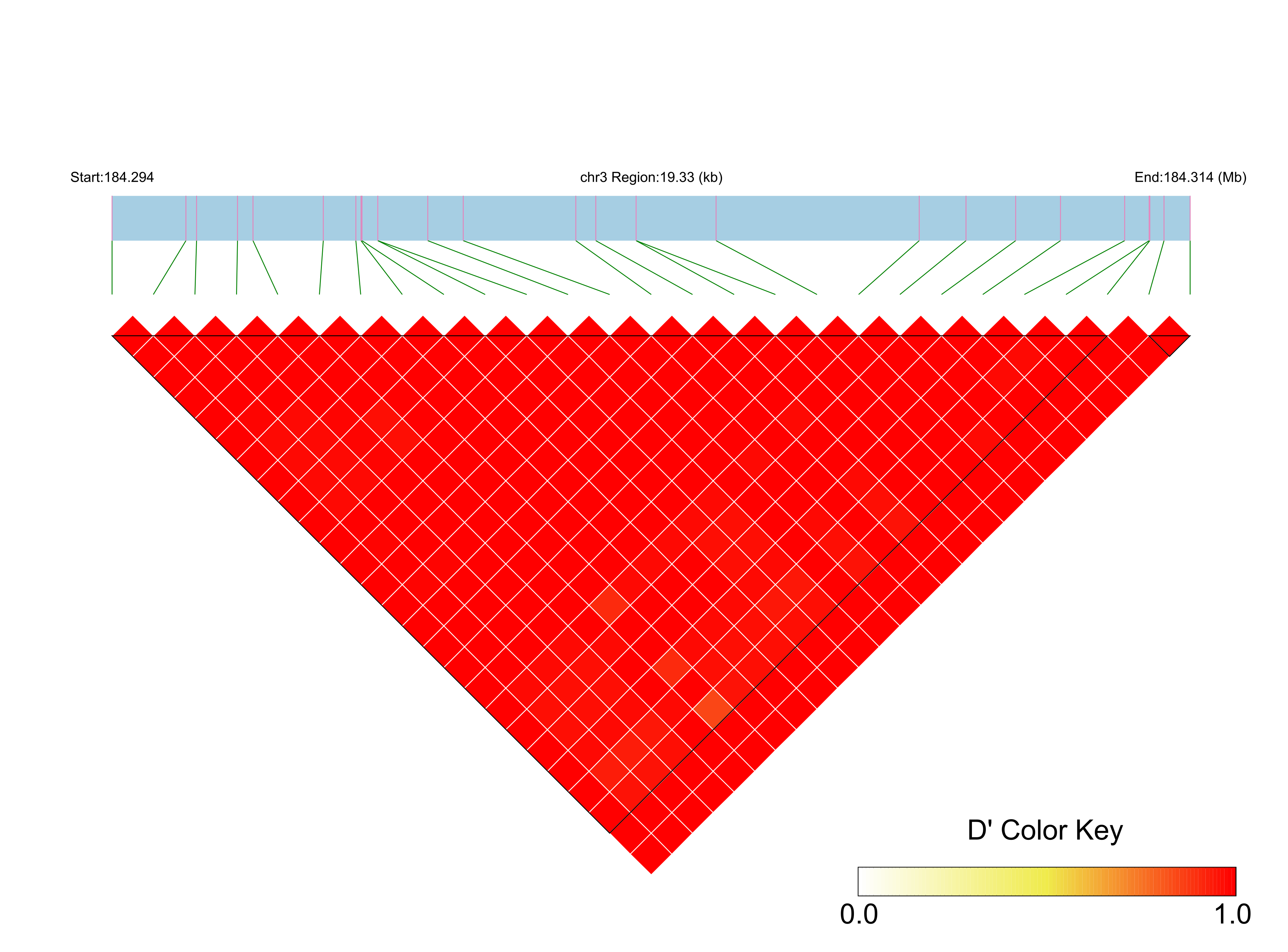 LD