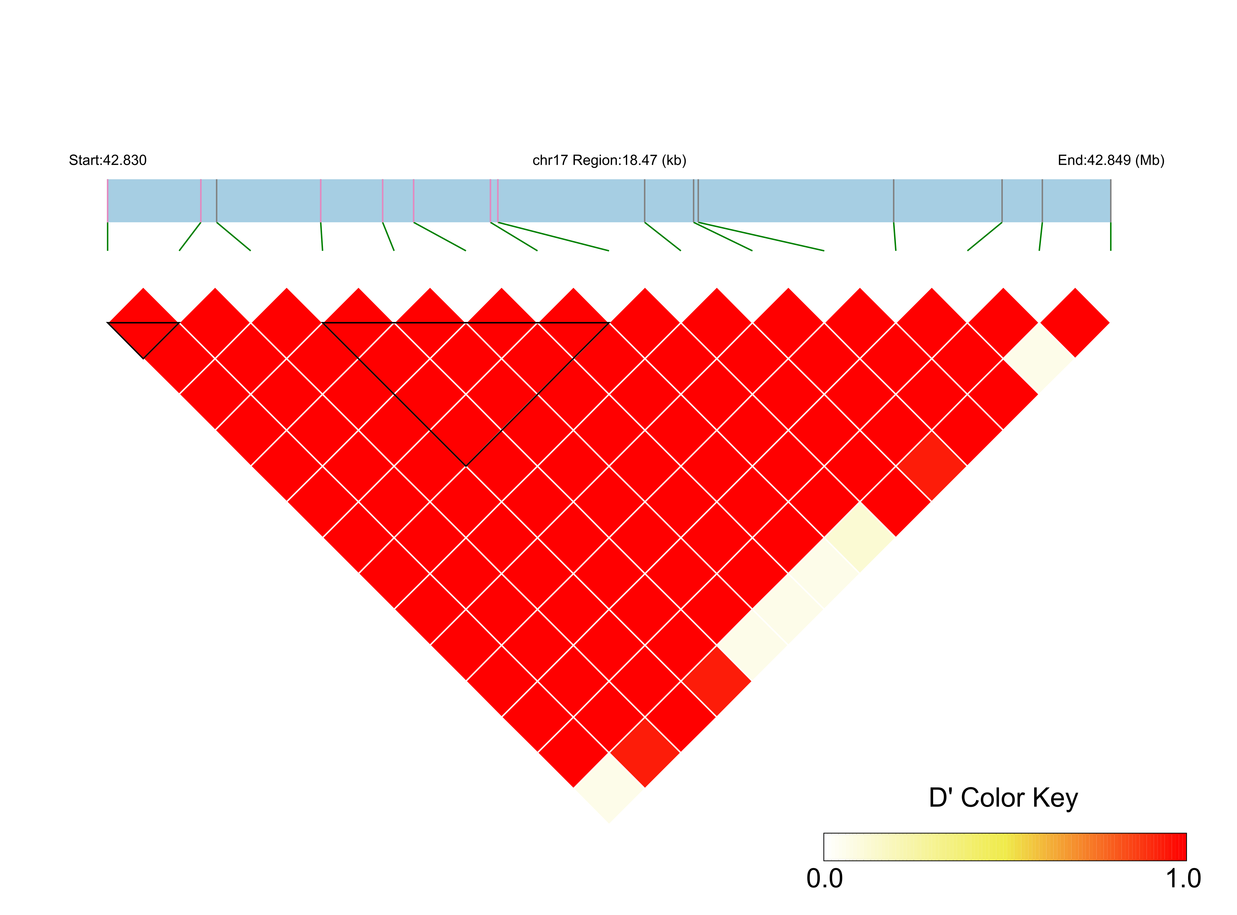 LD