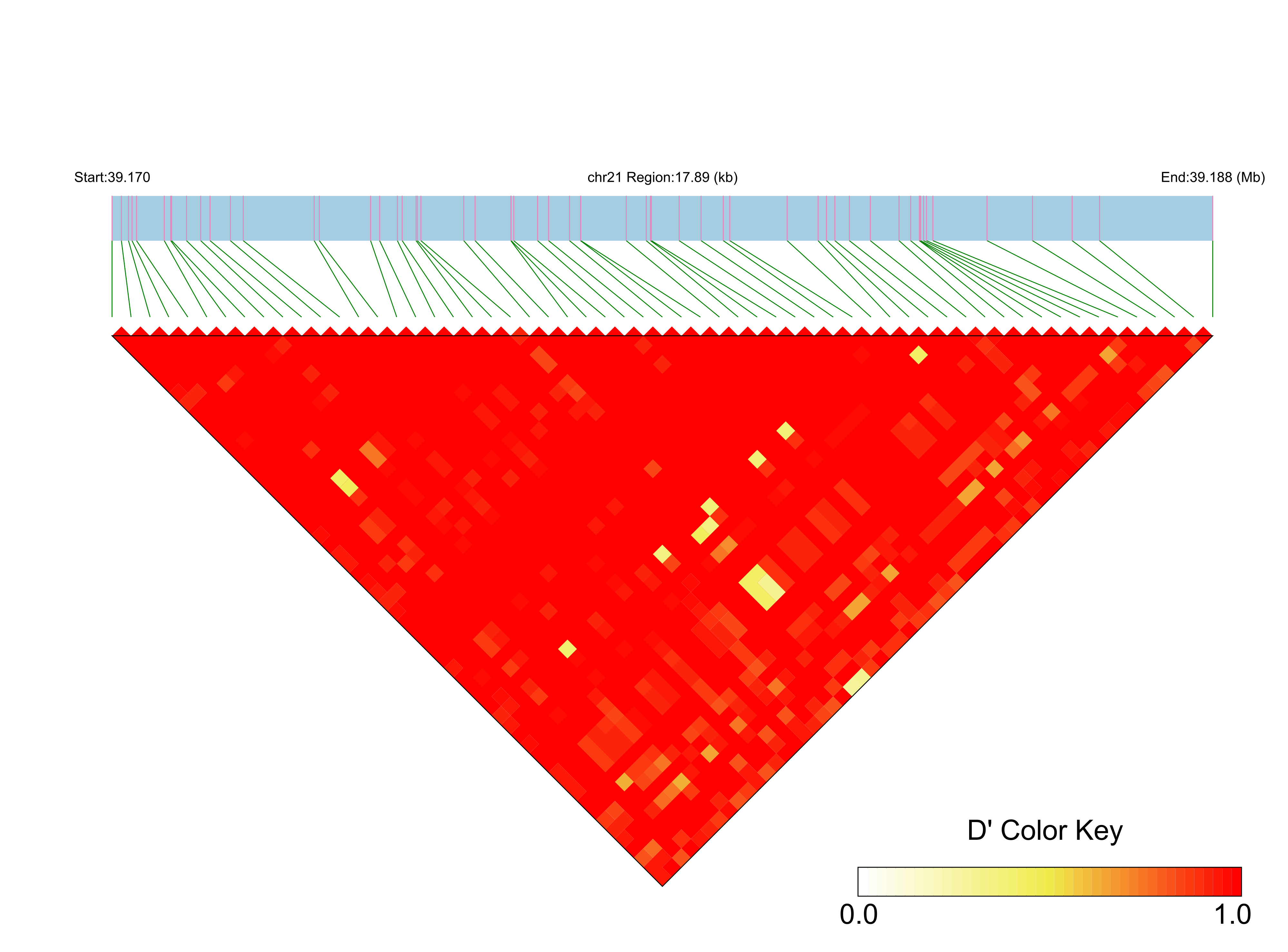 LD