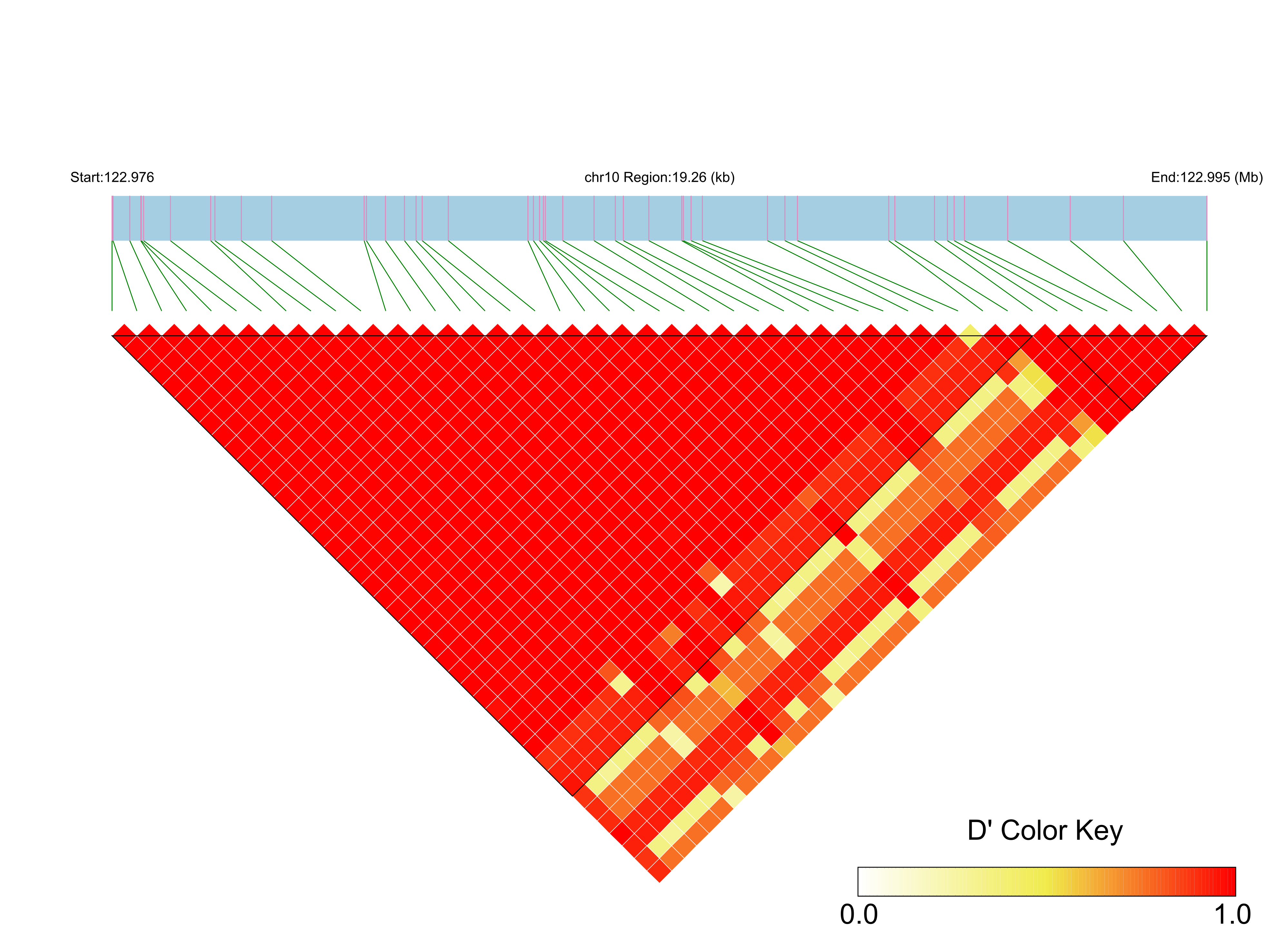 LD