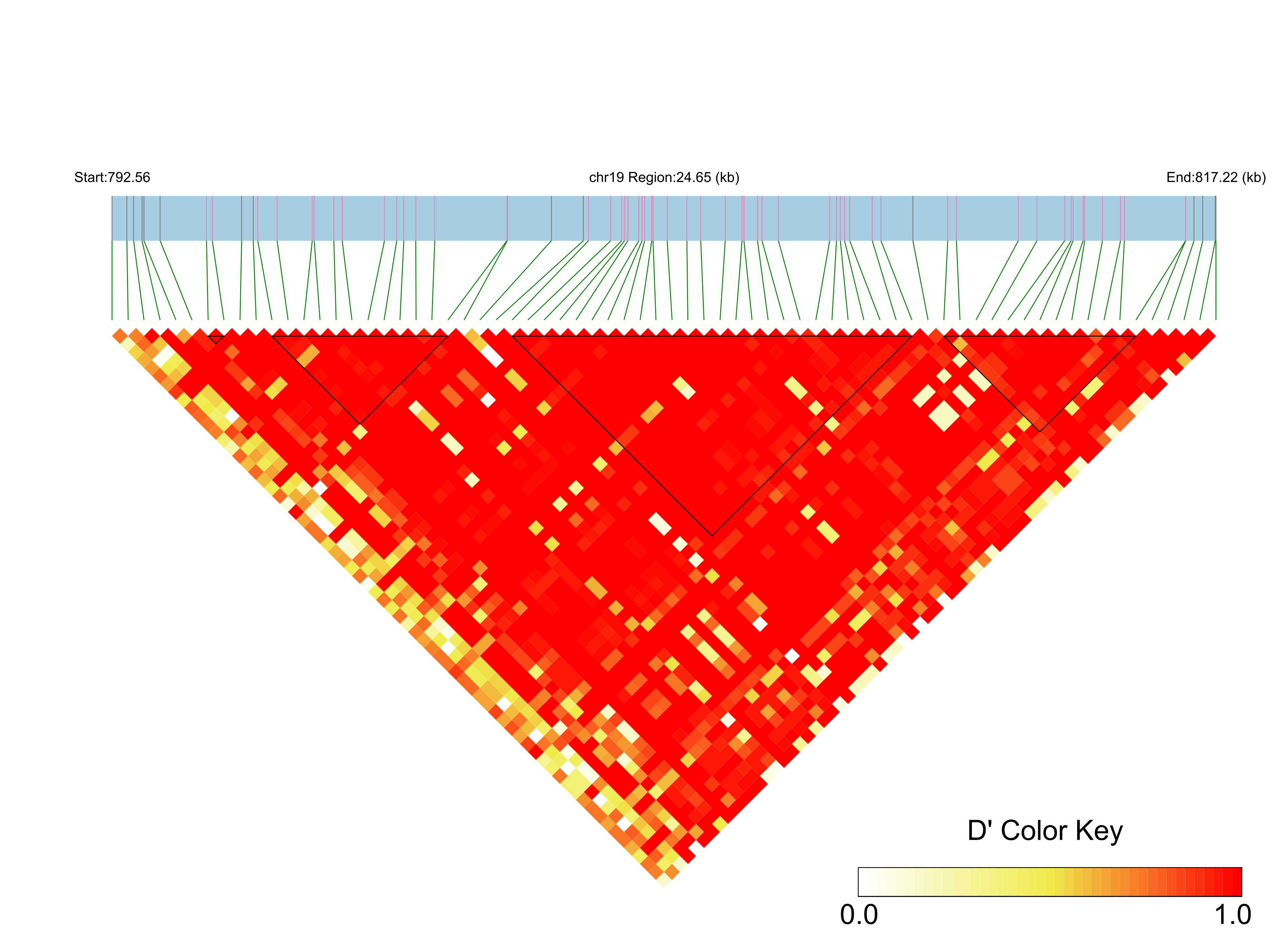 LD