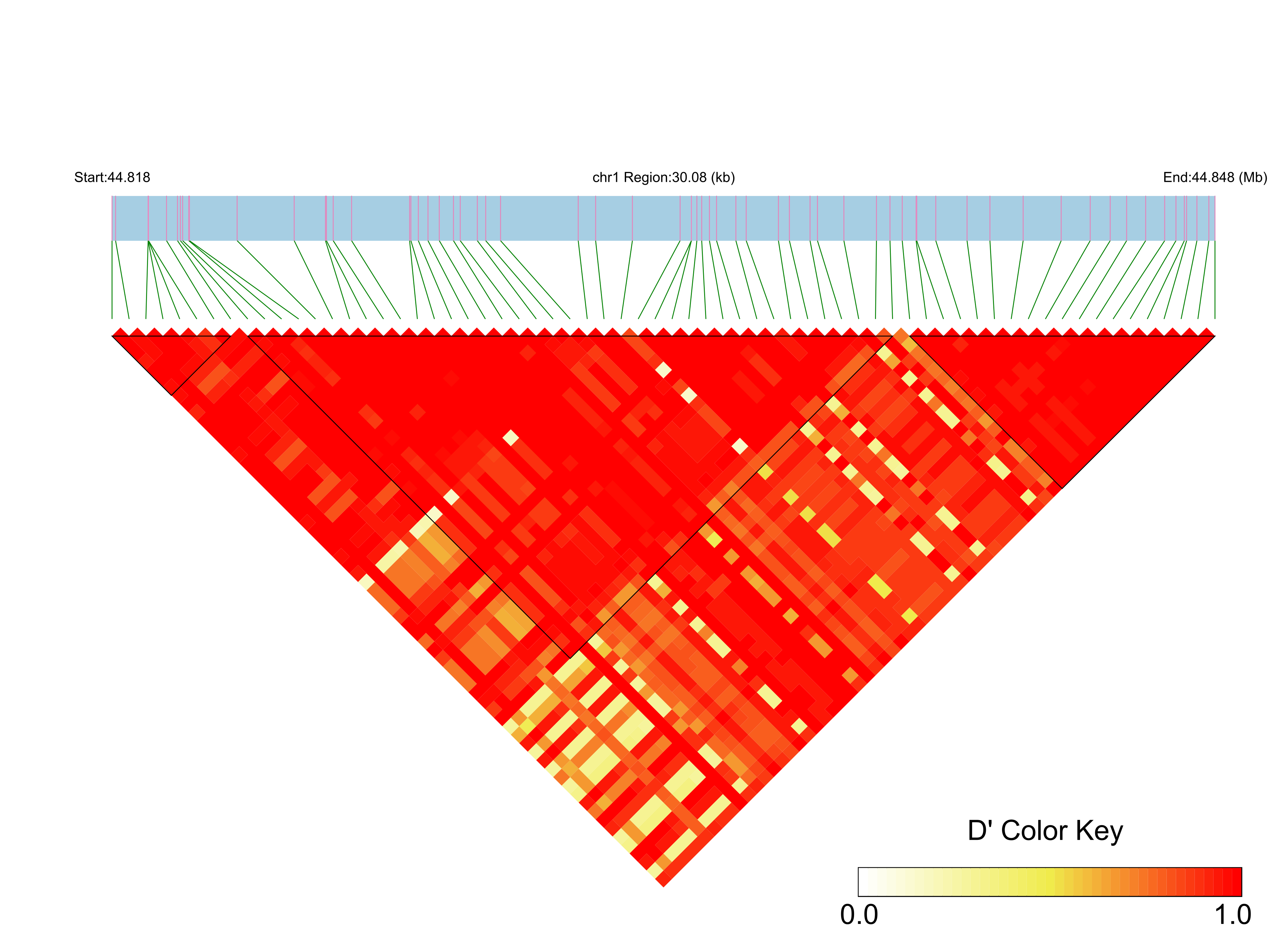 LD