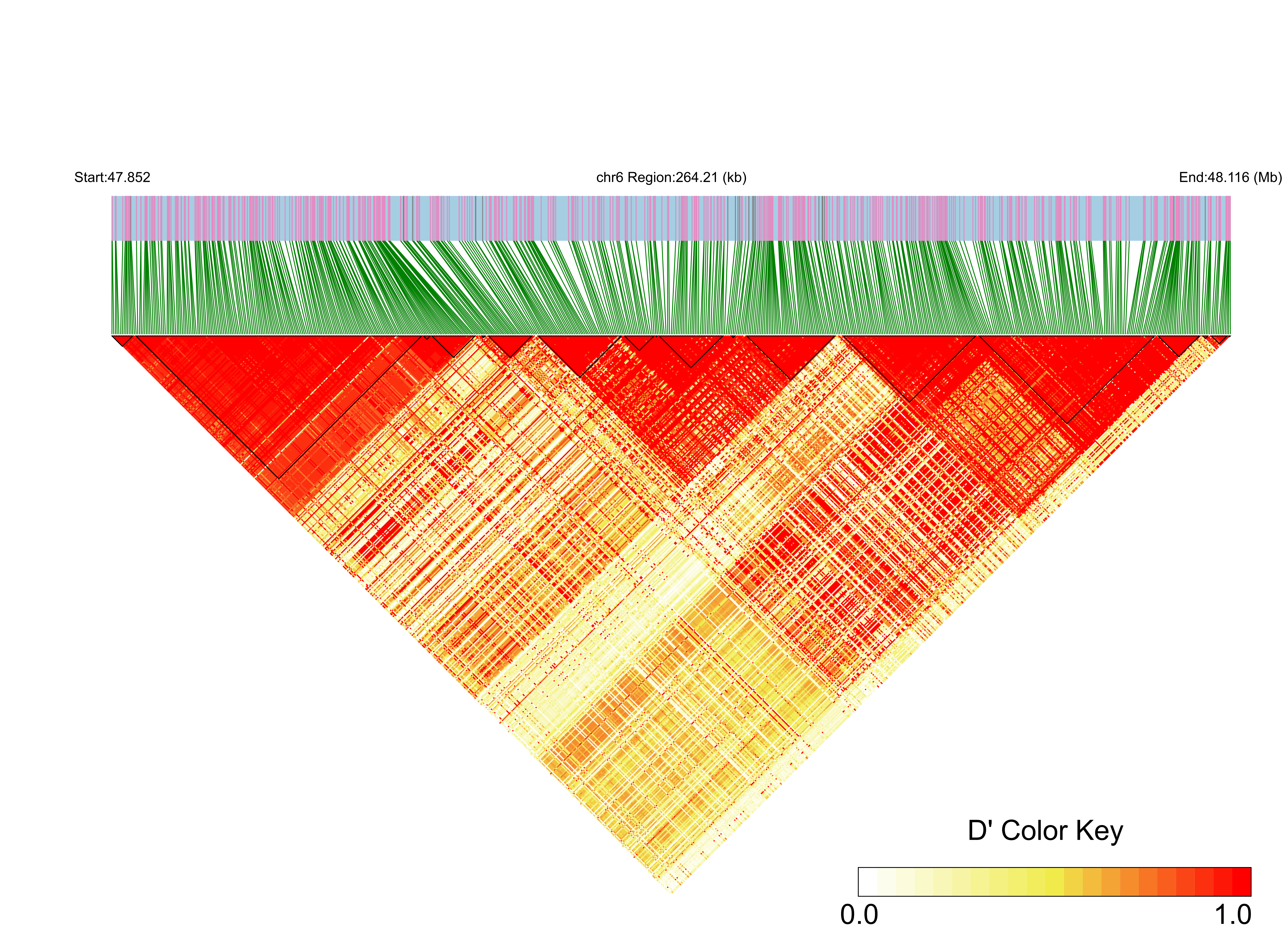 LD