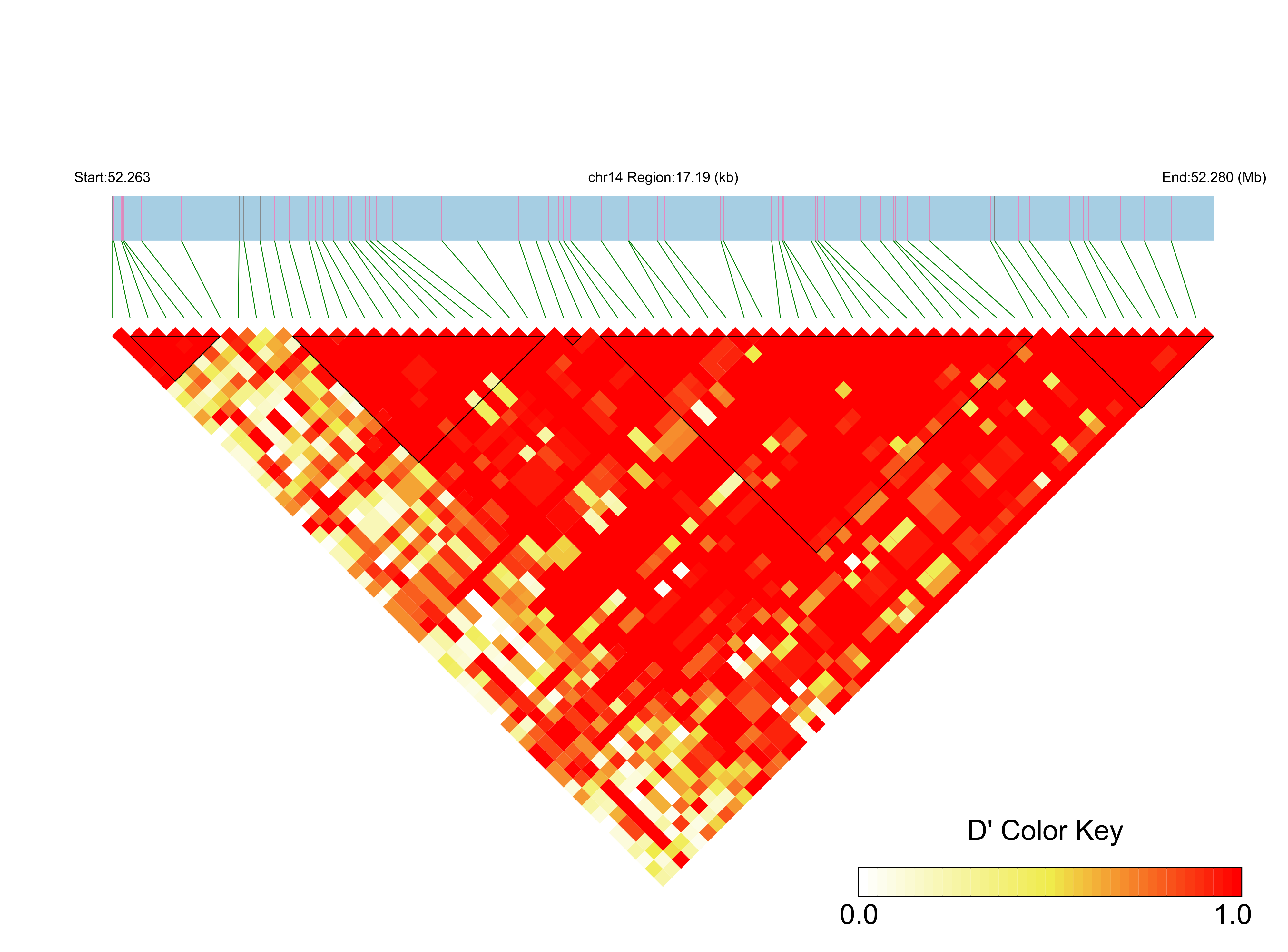 LD