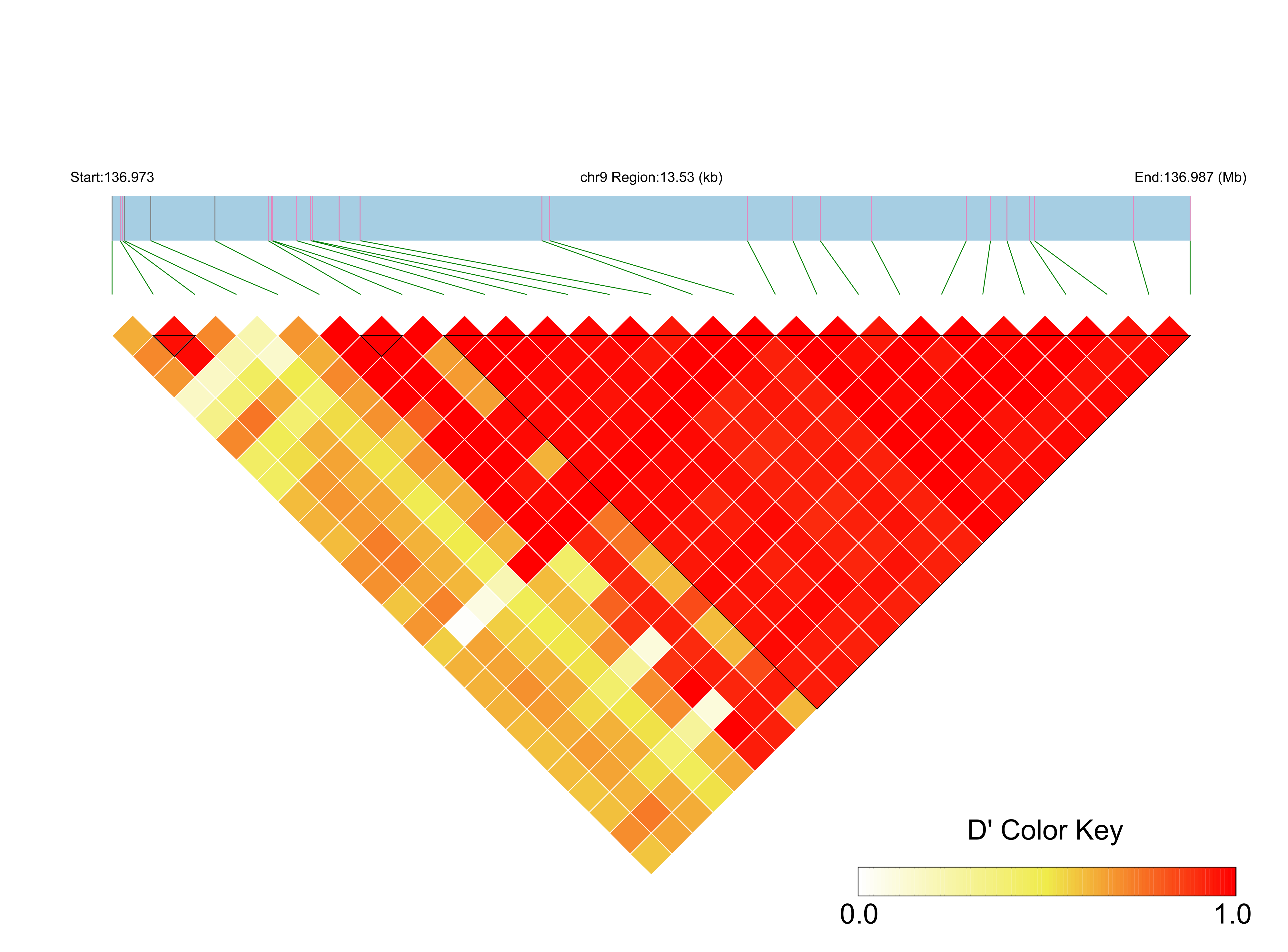 LD